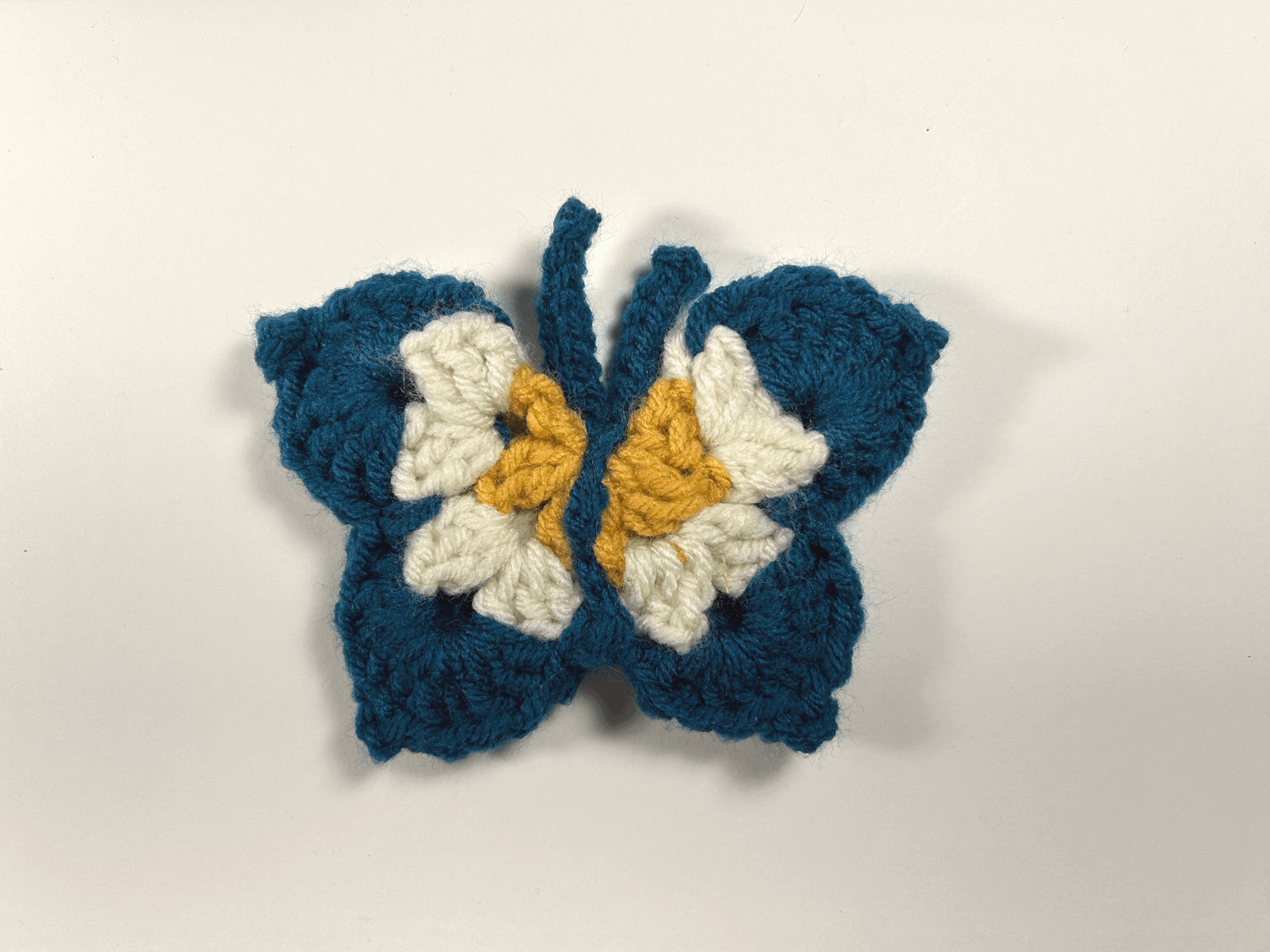Gold, White, Blue Butterfly
