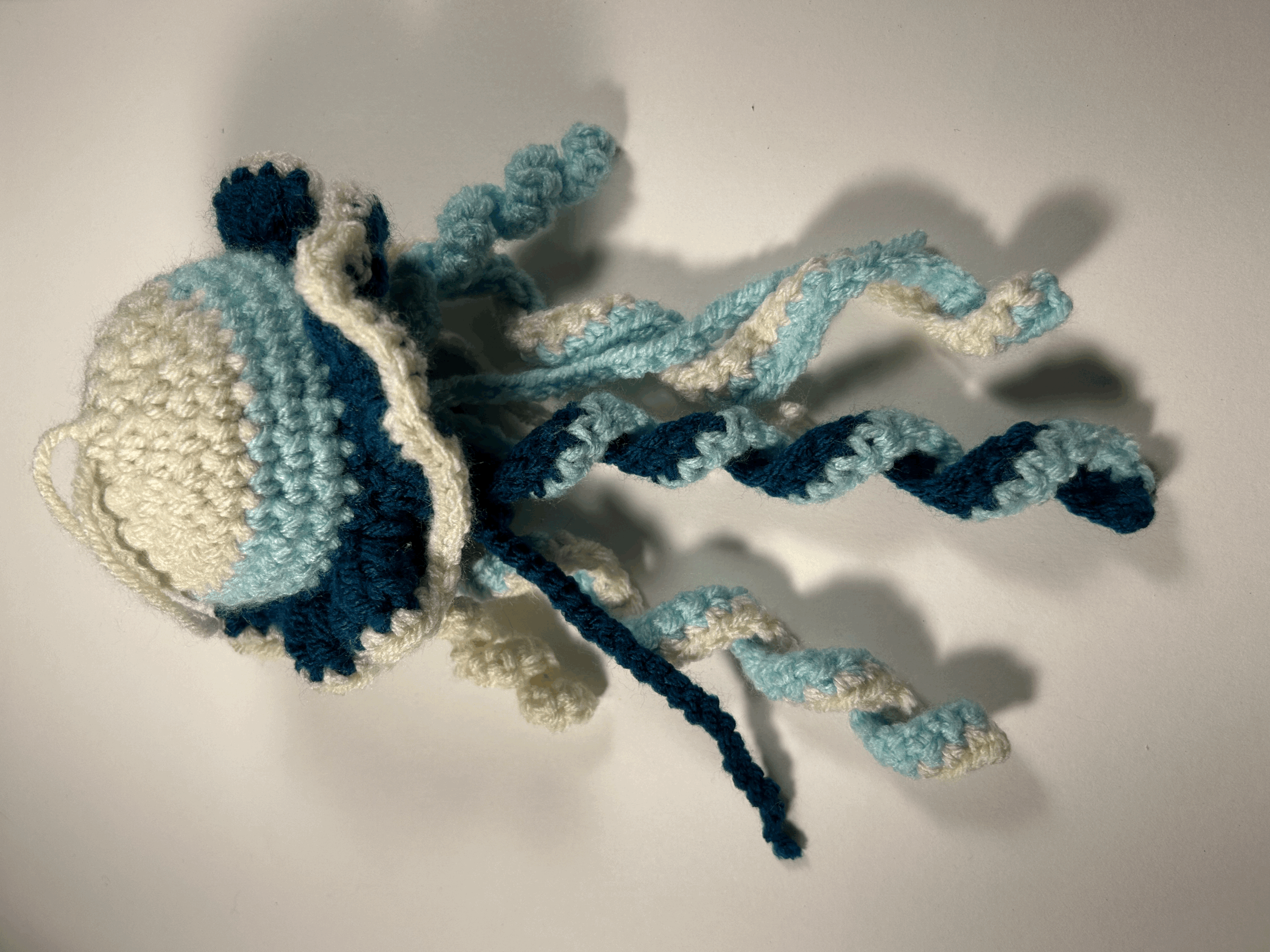 White and Blue Jellyfish
