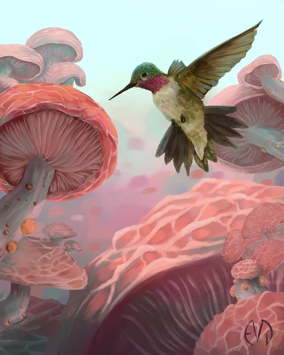 Hummingbird and Fungus Print