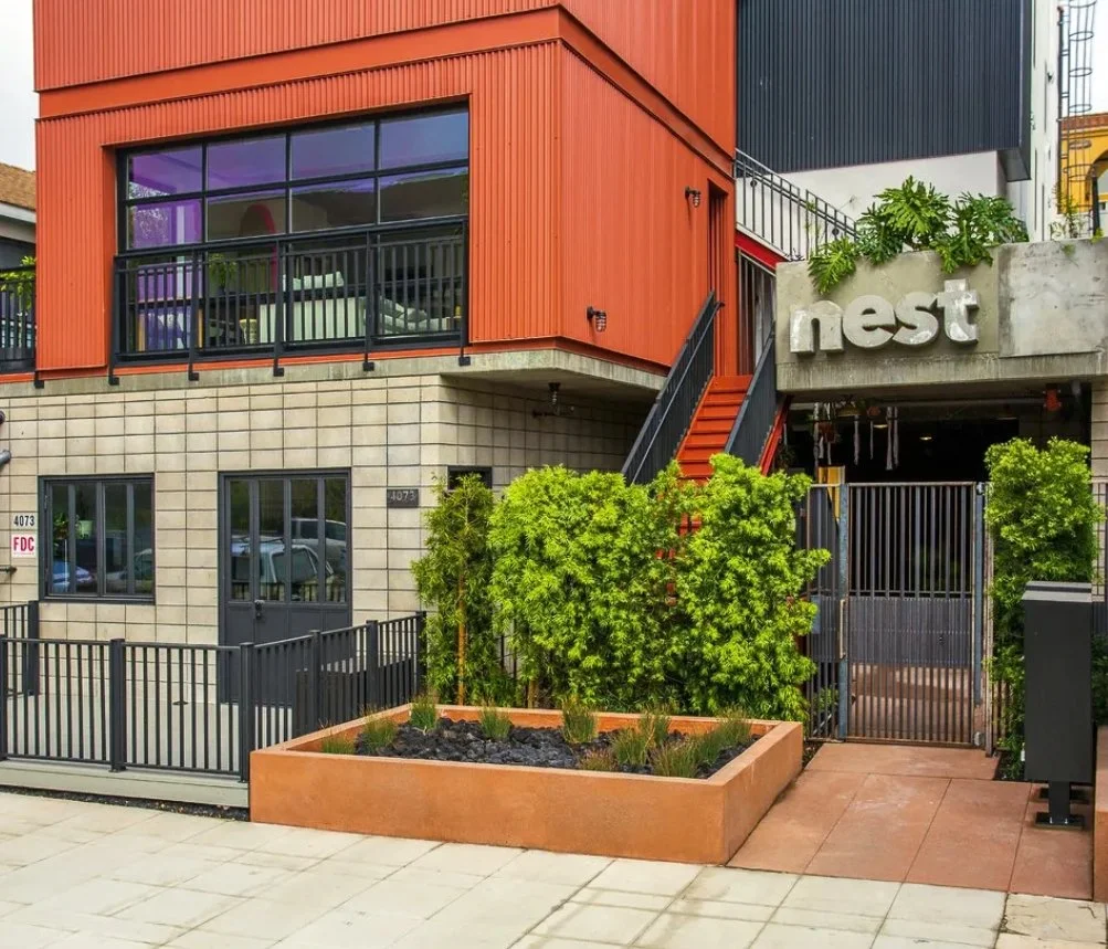 Nest (4).jpeg