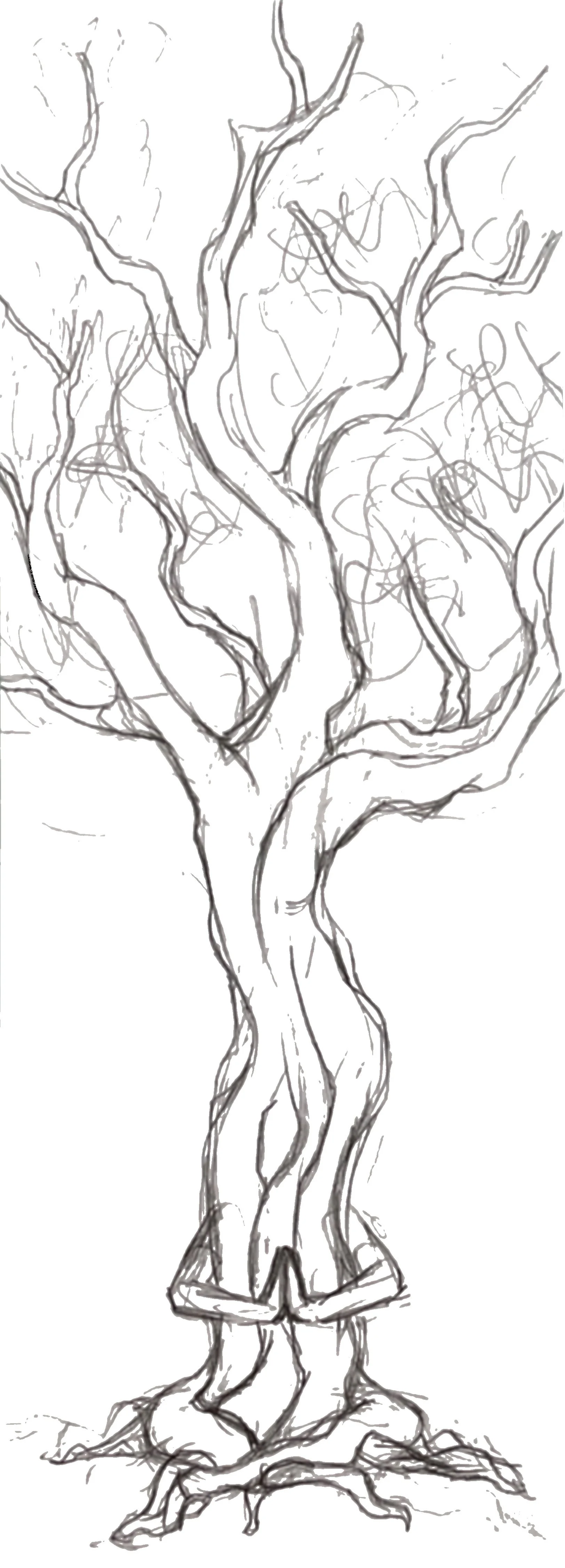 sketch2.jpg