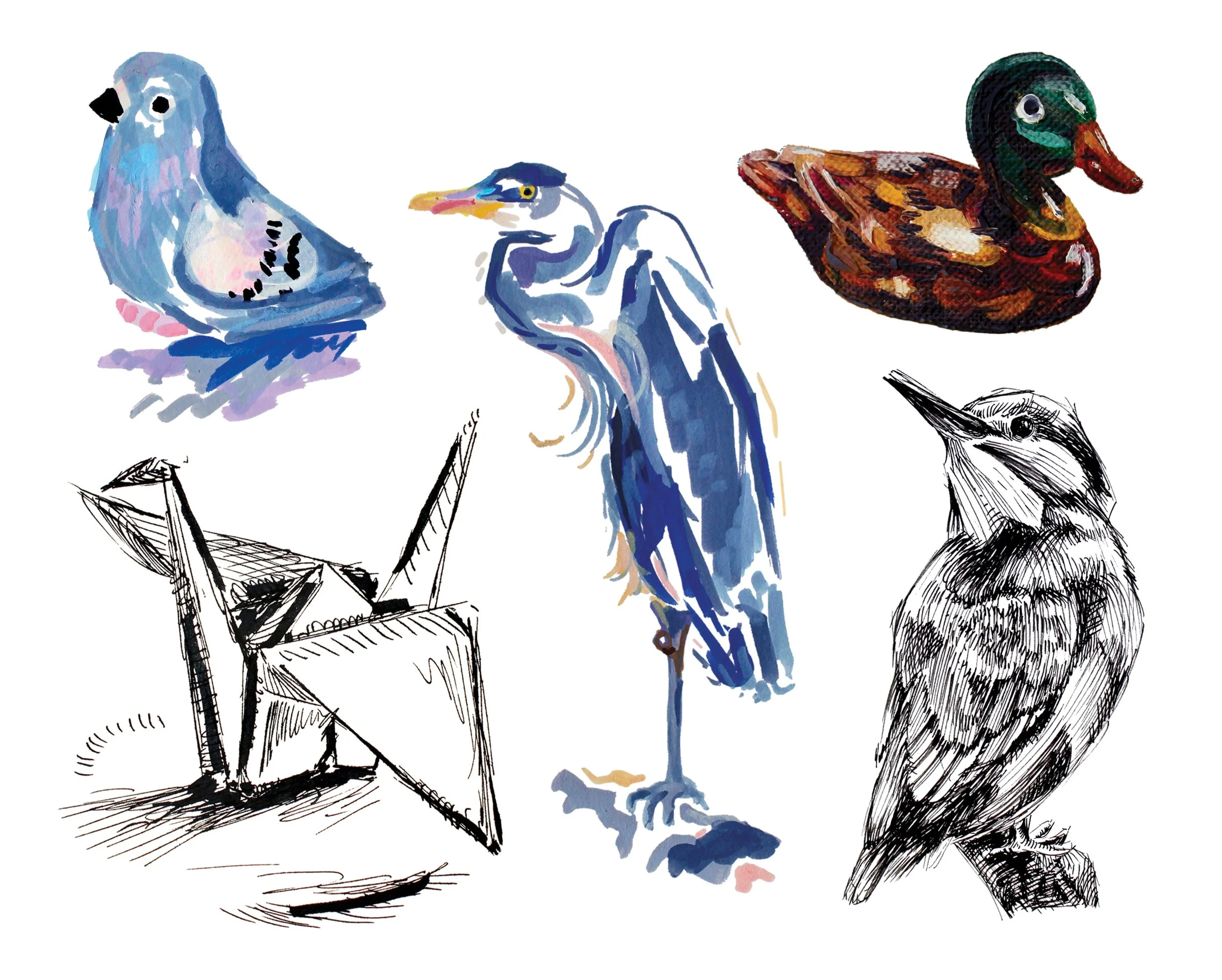 bird.jpg