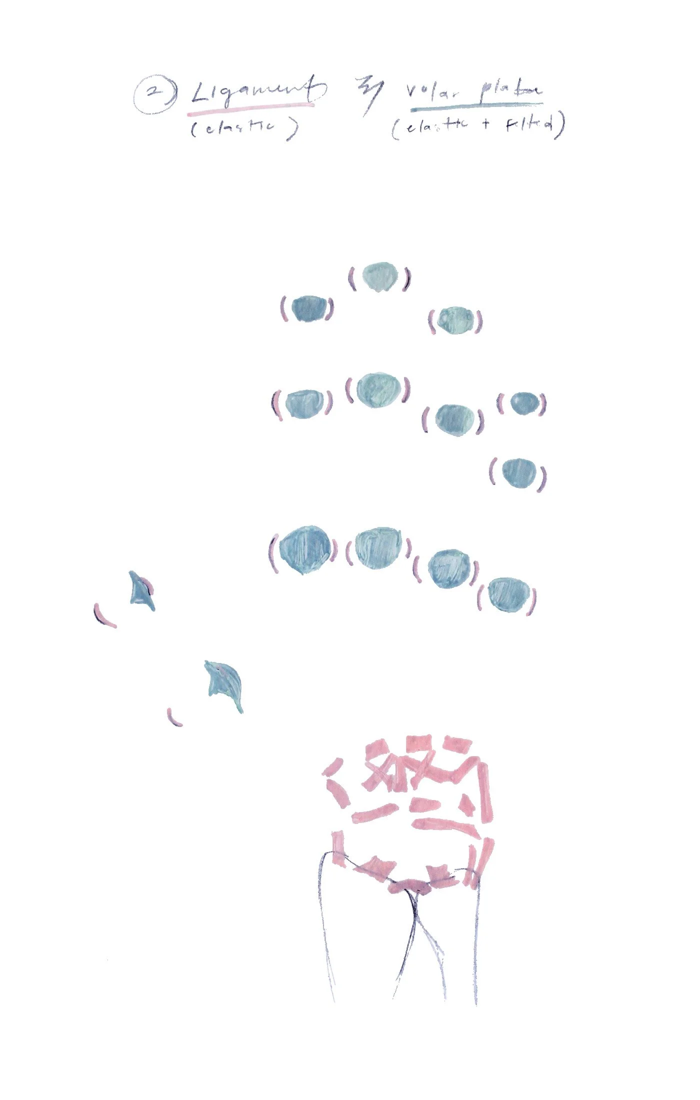JANE_prep2.jpg