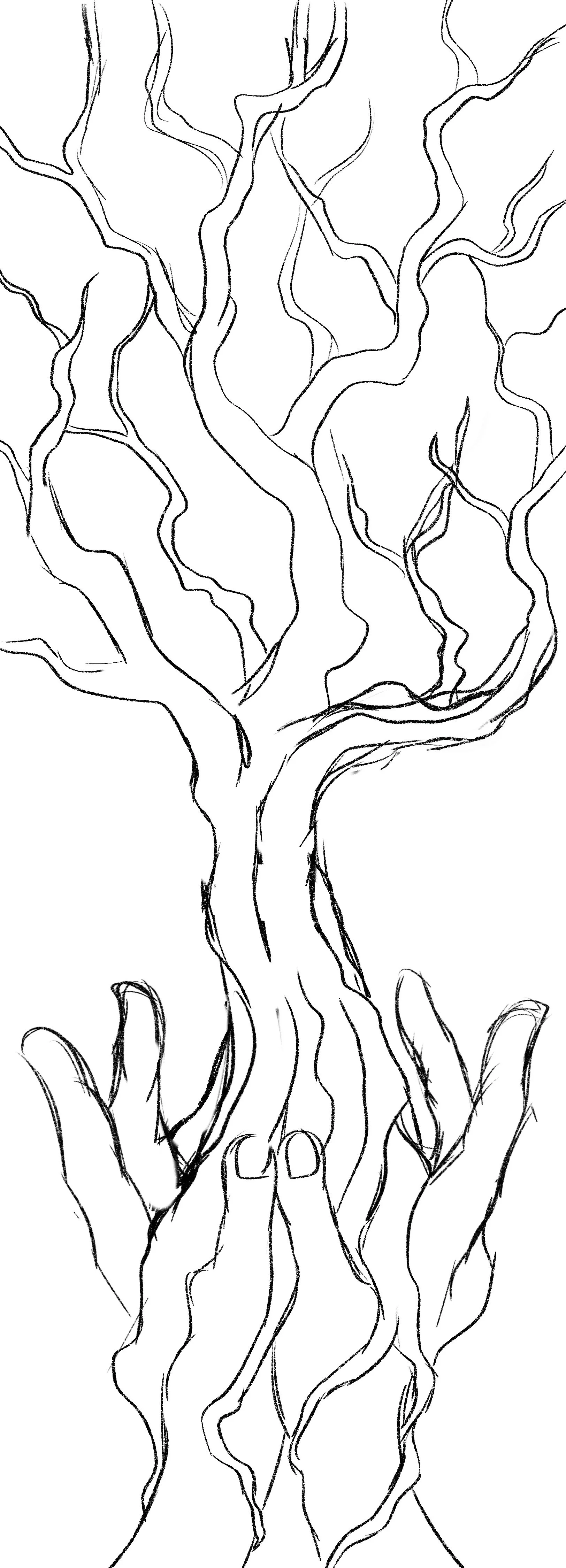 sketch.jpg