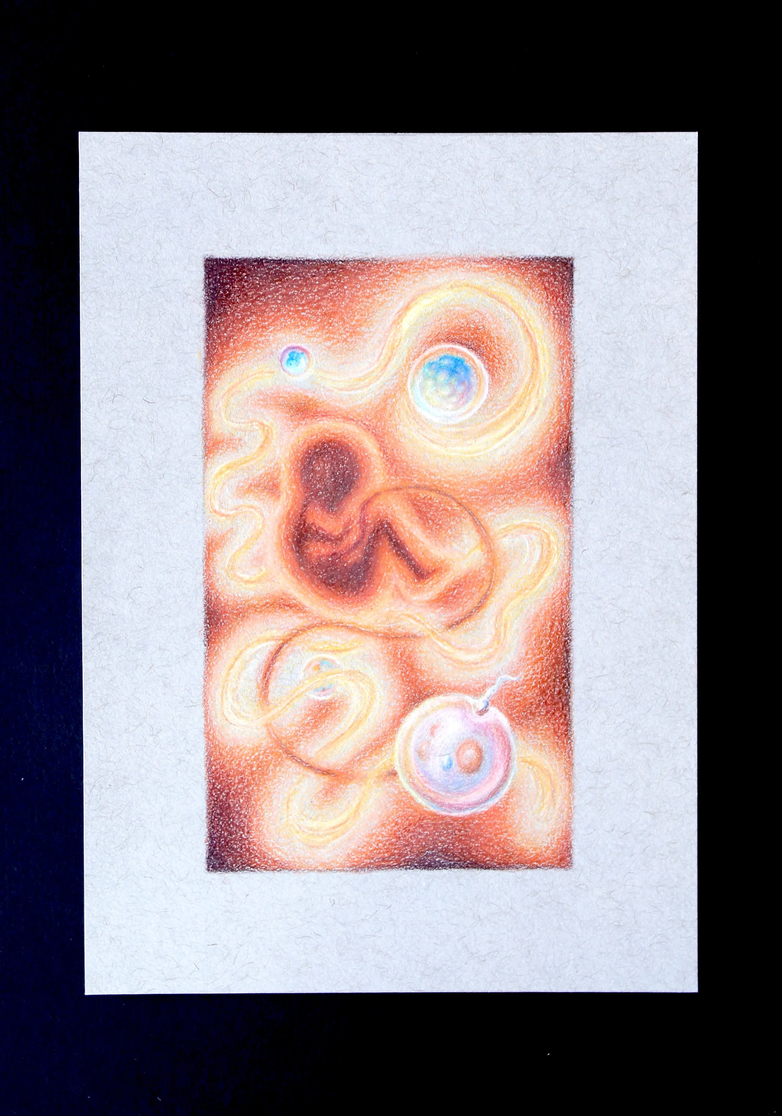 Embryology.jpg
