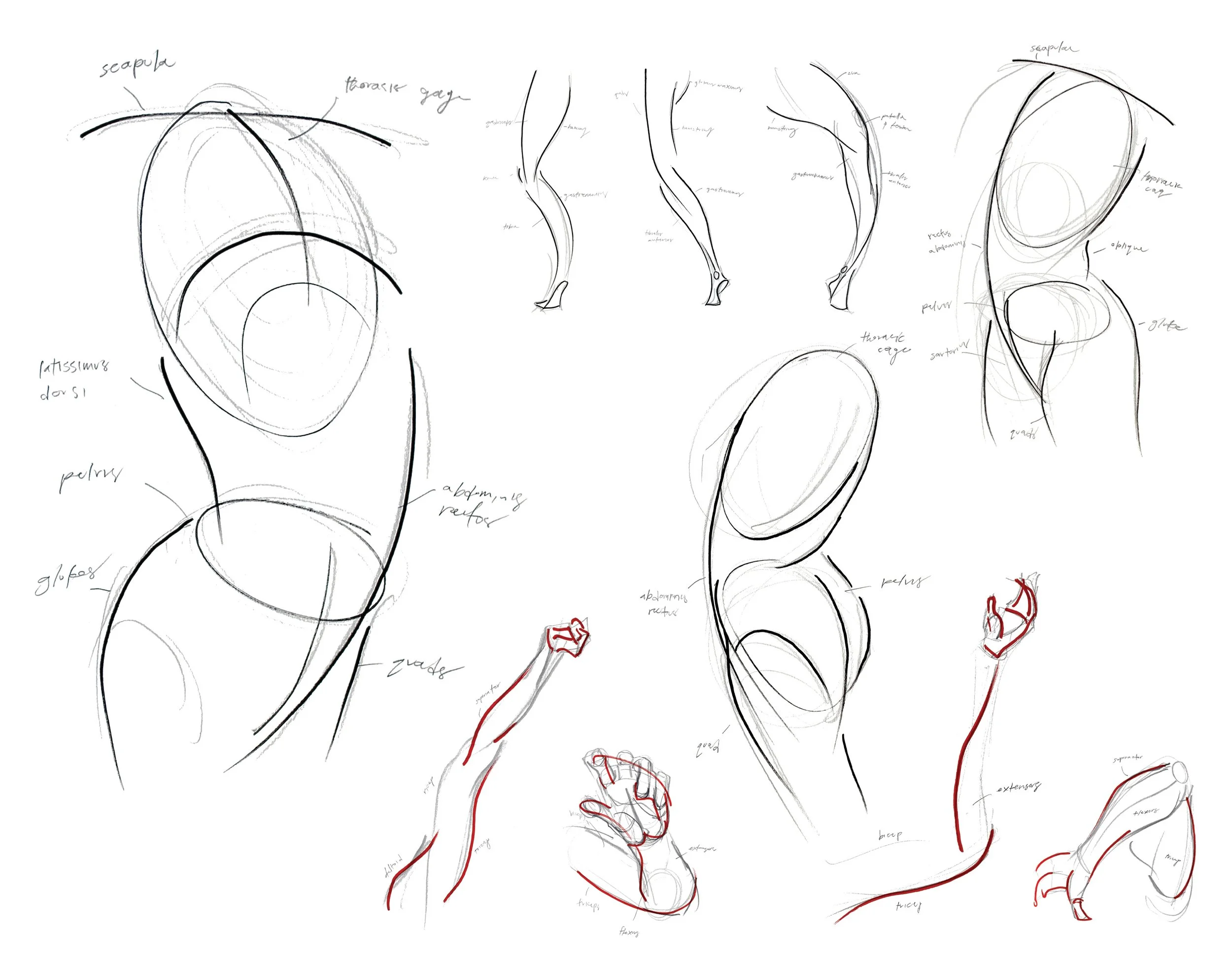 fig4.jpg