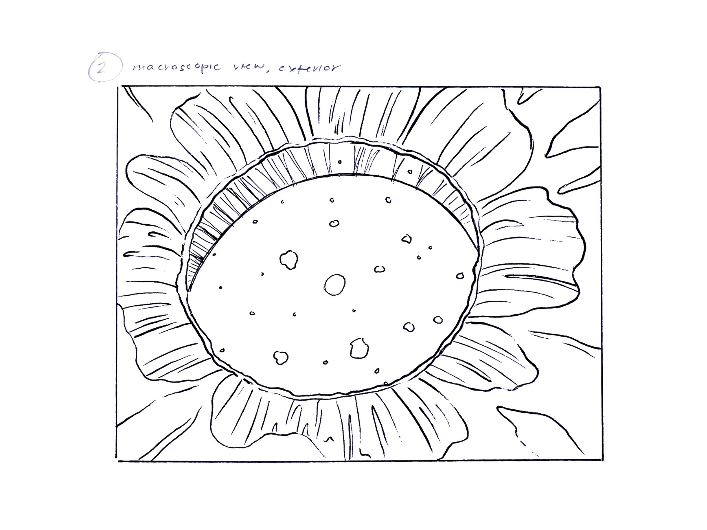 thumb2.jpg