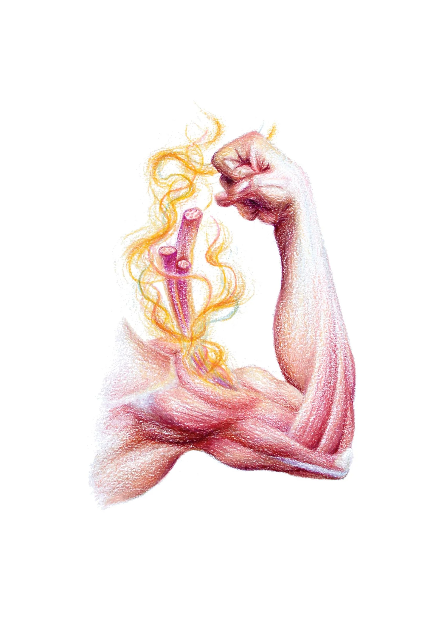 Anatomy_EDITED.jpg
