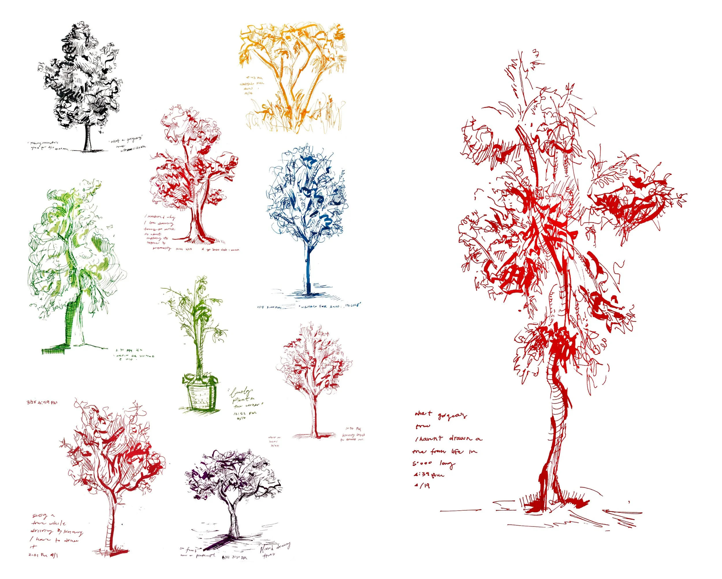 TREES.jpg