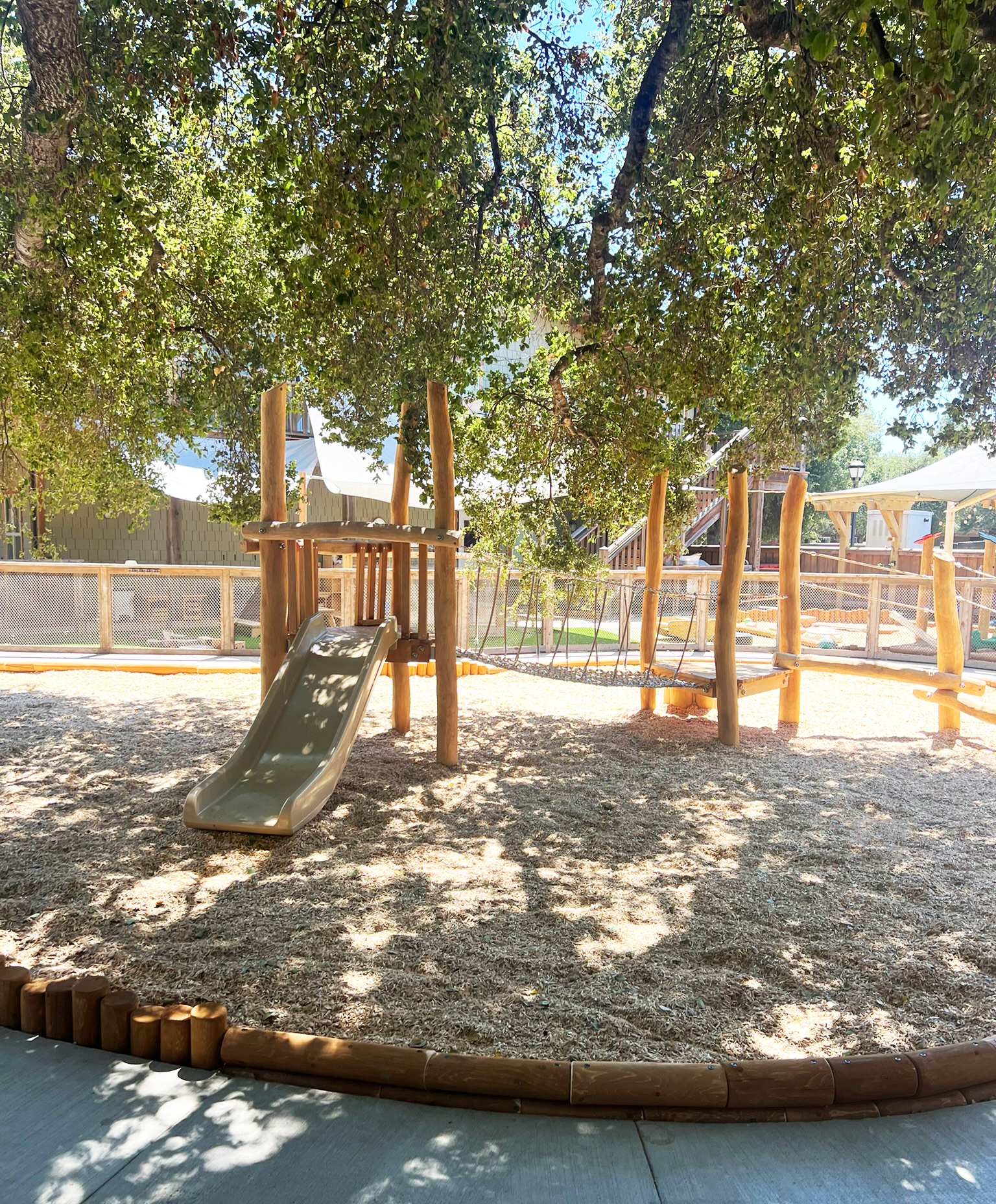 Natural wood play structure with a slide and rope bridge beneath the shade of mature trees at Stanford University Madera Grove Children’s Center.