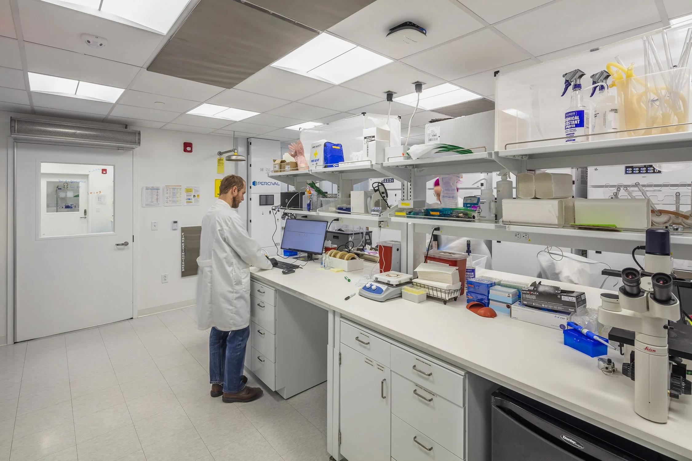Researcher working at a laboratory bench in a Cornell University research lab.