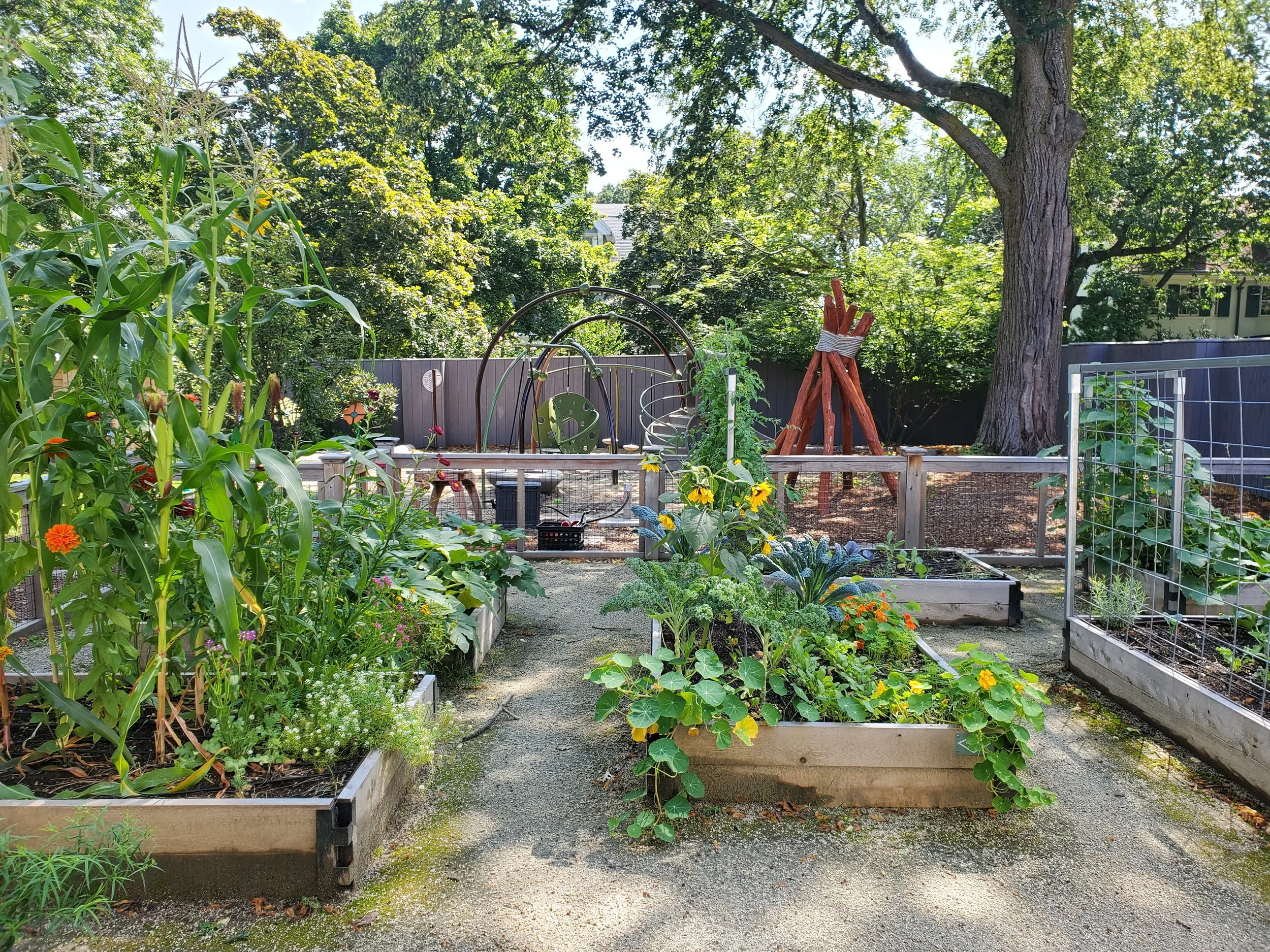Raised garden beds filled with vegetables, flowers, and herbs surround a gravel path leading to a natural play area with climbing structures and a large shade tree in the background.