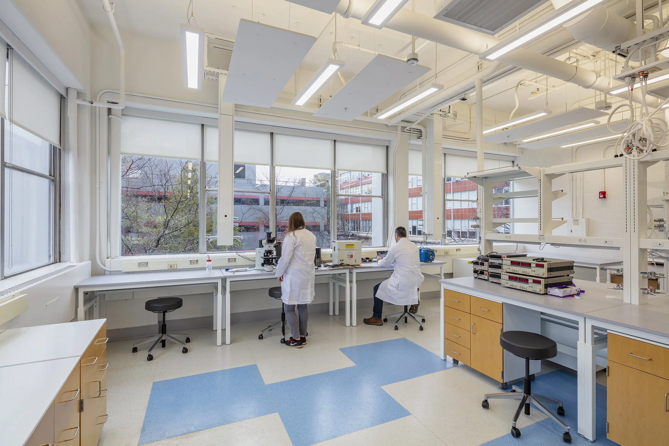 Researchers conducting microscopy and laboratory analysis in a Cornell University research space.