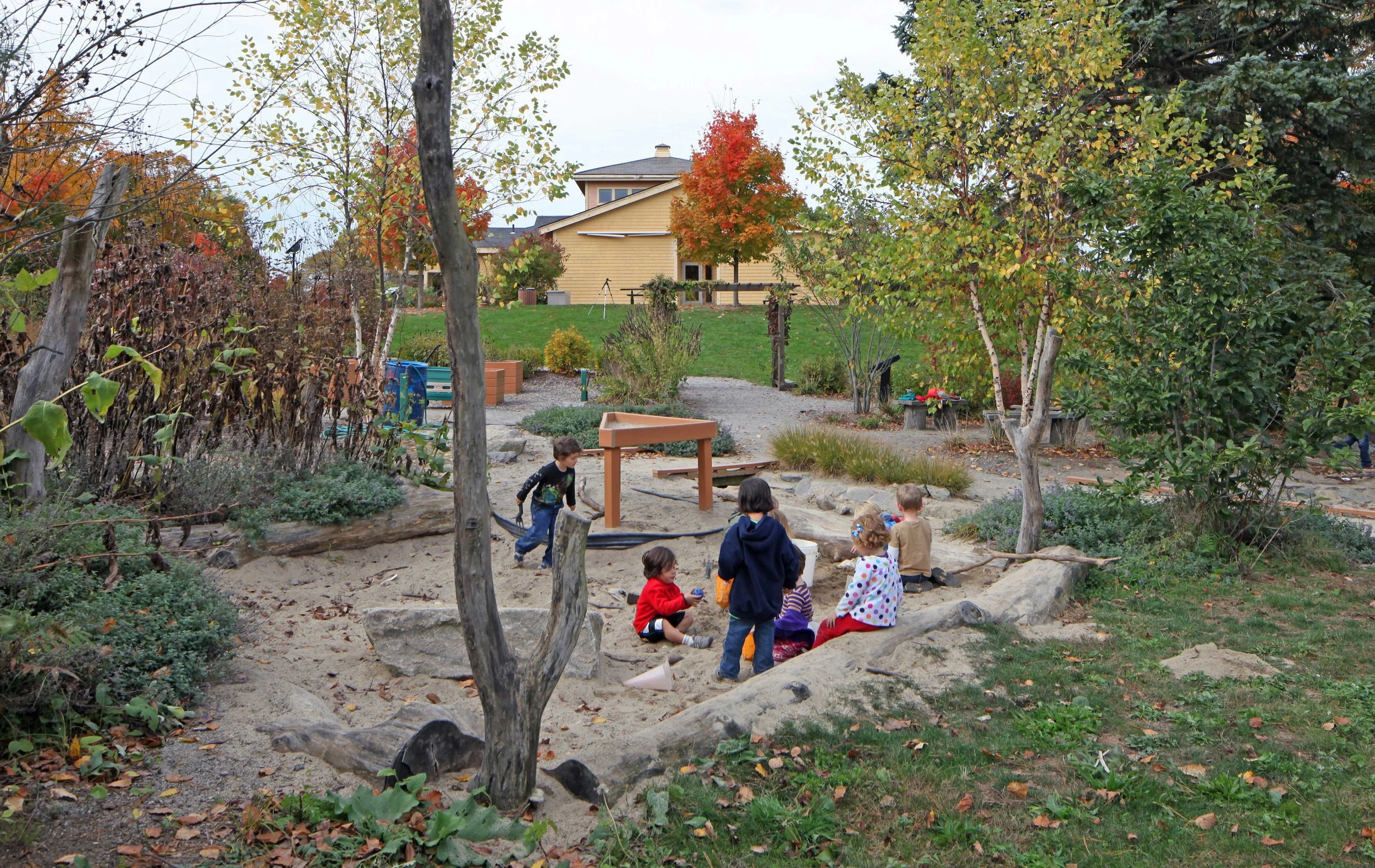 The "Nature Nook": Urban Nature Playscape