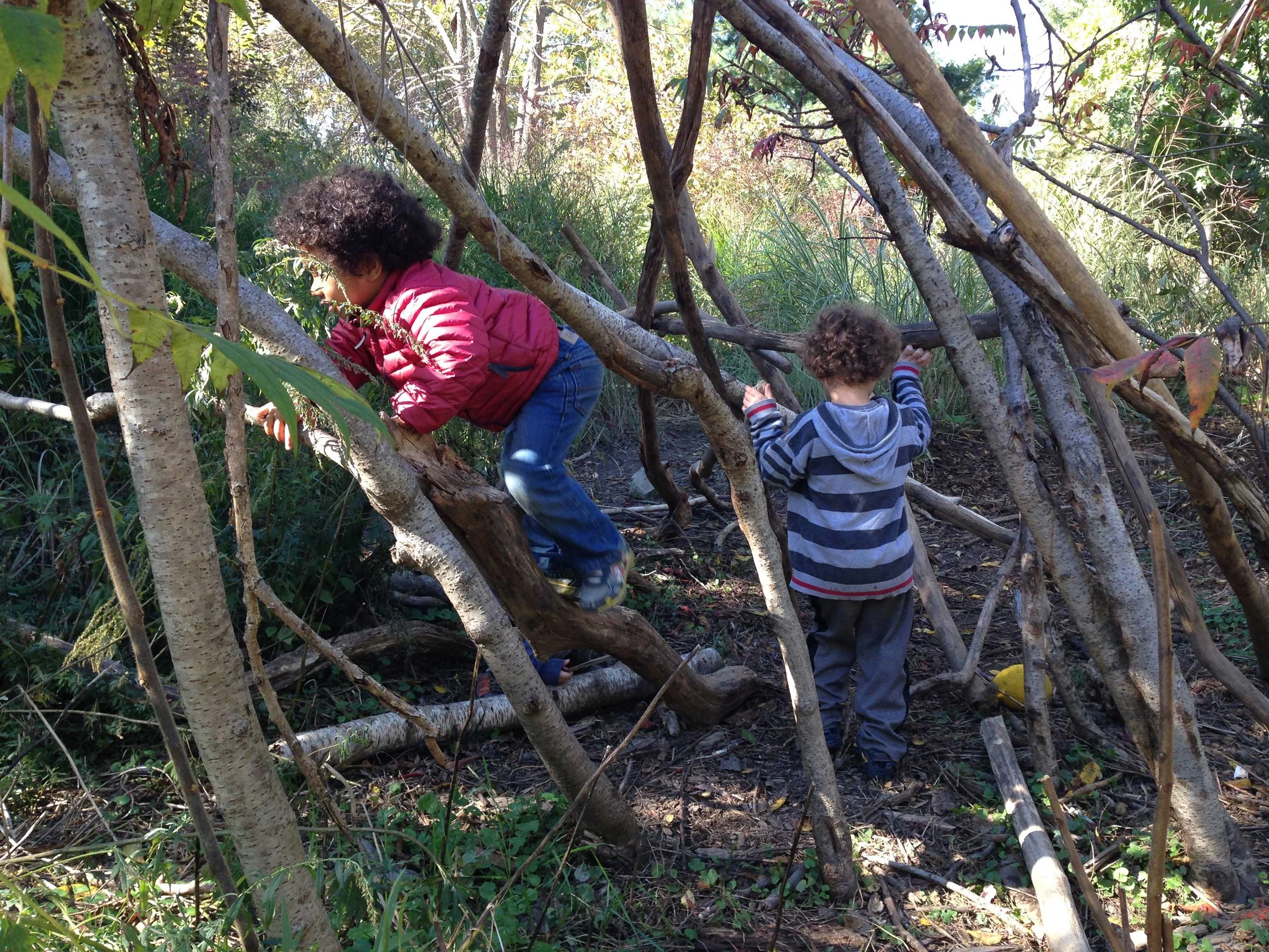 Young children climb and balance through a structure made of fallen tree branches in a natural play area.