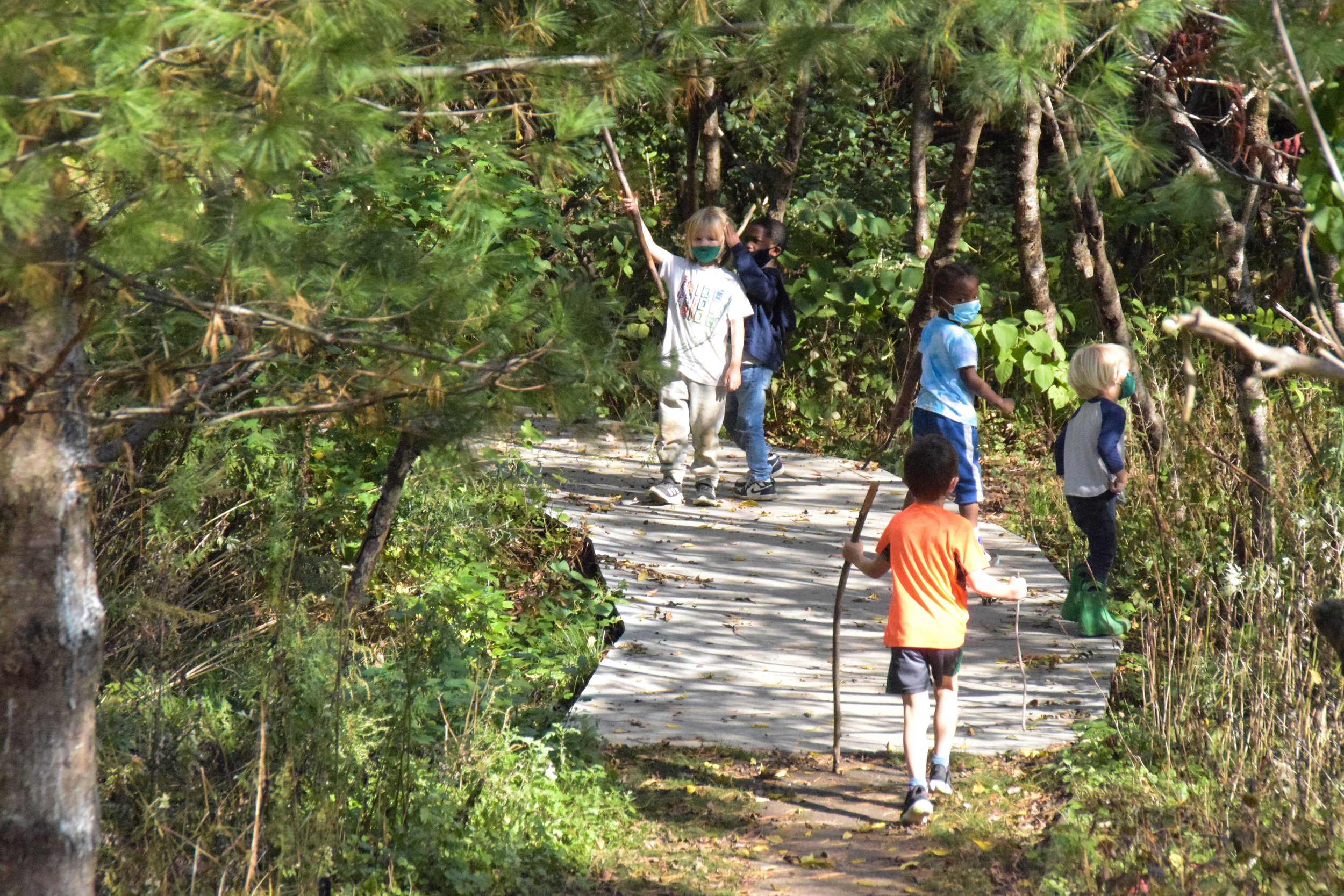 Children walk along a boardwalk through a wooded landscape, collecting sticks and exploring the natural environment.
