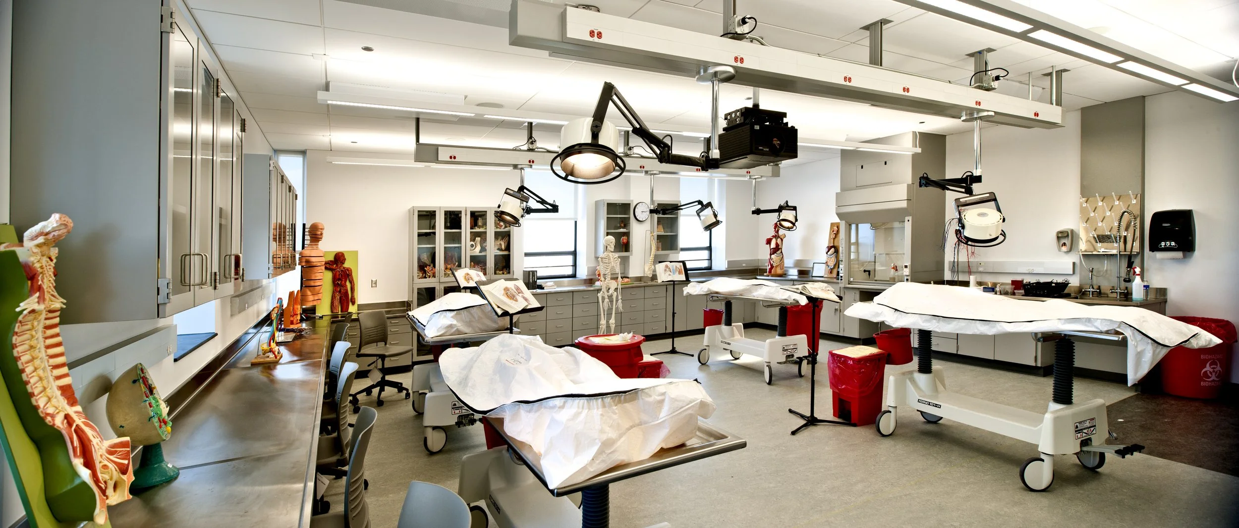 Anatomy teaching laboratory with adjustable dissection tables, overhead surgical lighting, and anatomy models.