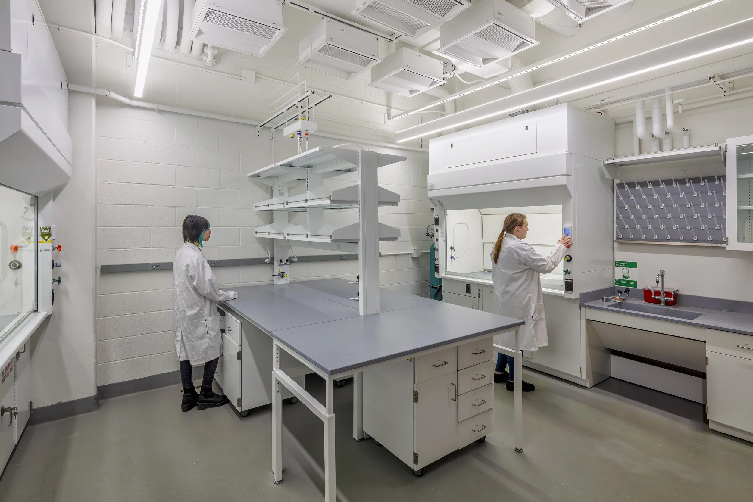 Researchers working in a laboratory at Cornell University.