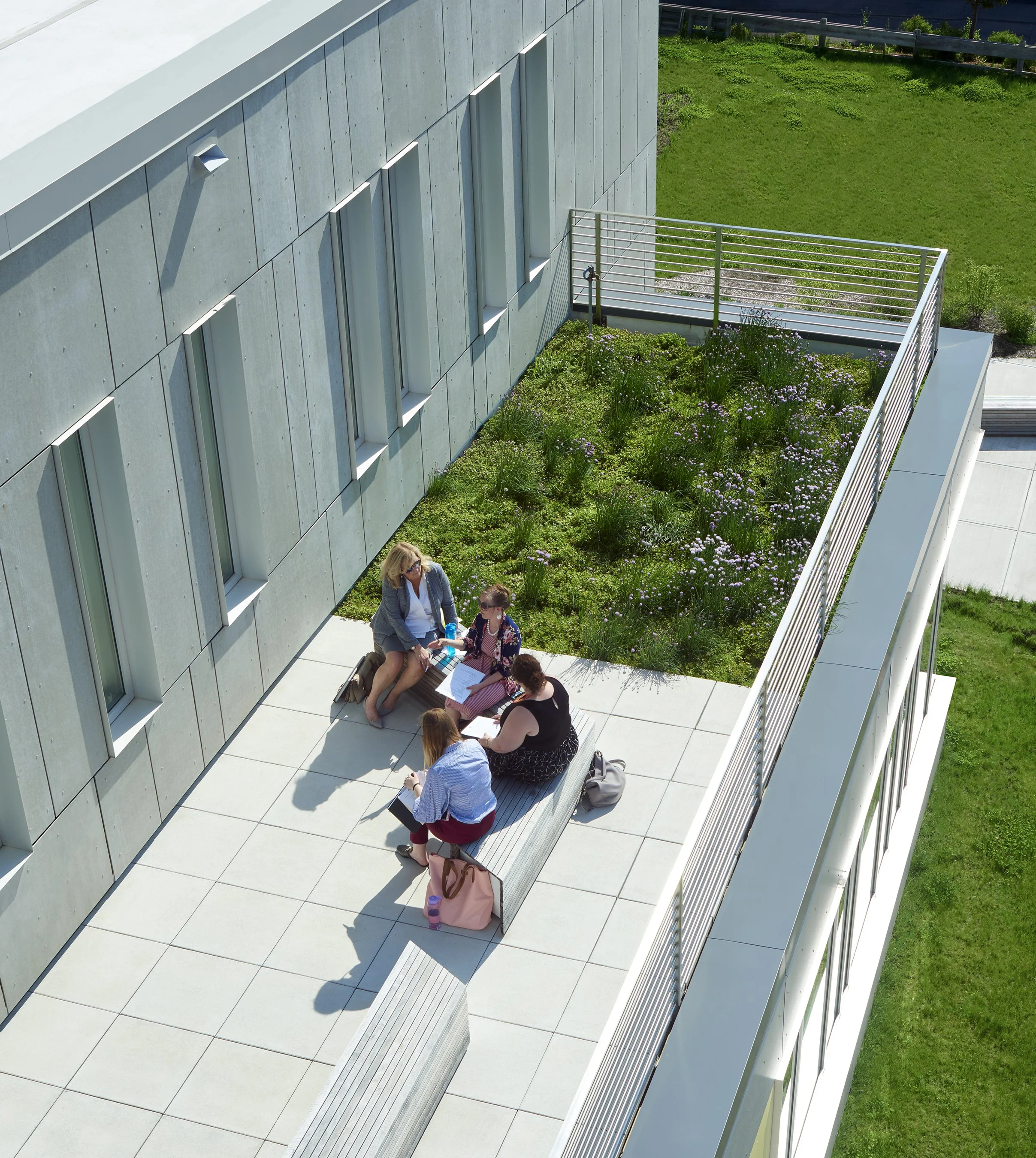 Outdoor terrace with seating and adjacent green roof, providing flexible space for informal meetings and collaboration.