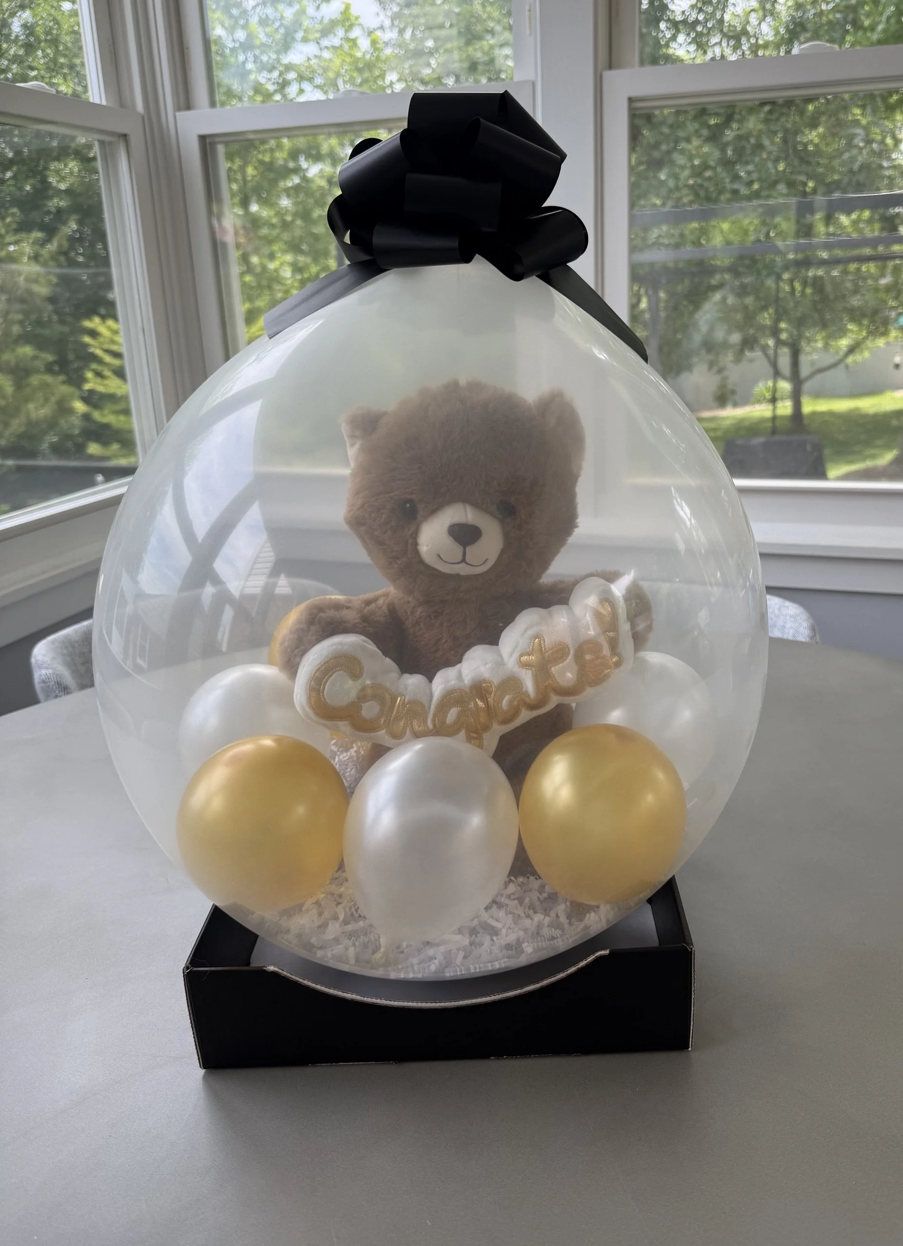 A teddy bear inside a clear balloon, surrounded by white and gold decorative balls, with the word 'Congratulations' on a small sign, sitting on a black box, with a background of windows showing green trees outside.