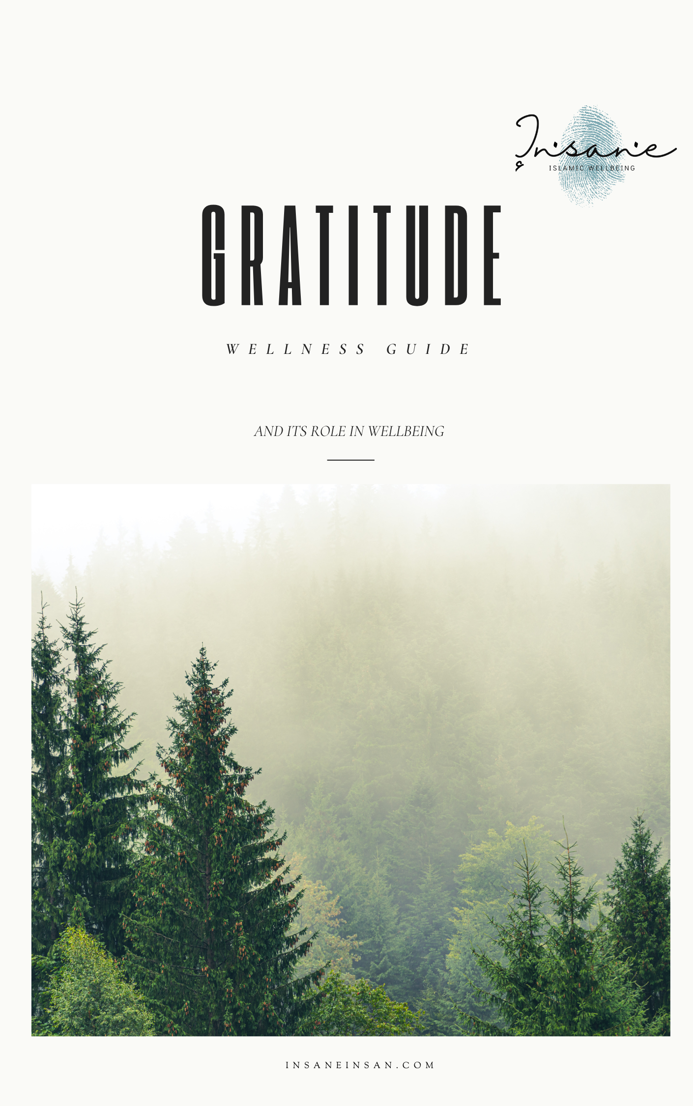 Quiet forest scene with tall evergreen trees and misty mountains in the background, promoting wellness and gratitude.