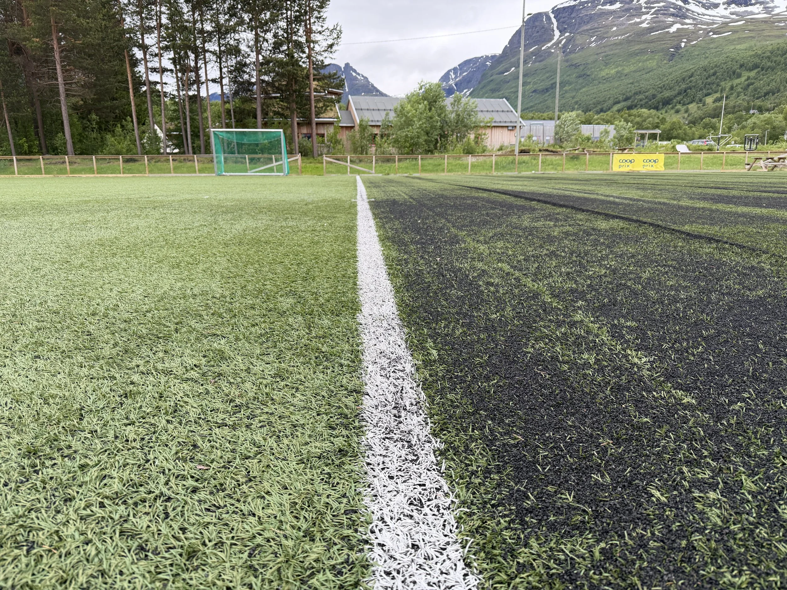 Forskjellen mellom kunstgress før og etter dyprens