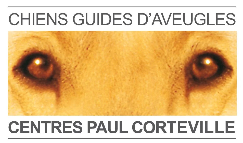 Couverture d'un guide pour chiens d'aveugles avec un gros plan des yeux d'un chien et le texte en français.
