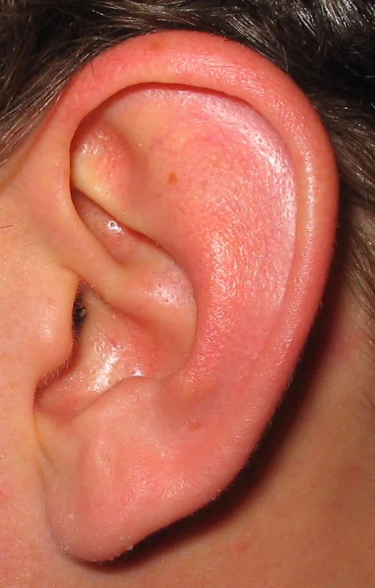 Close-up of a left human ear, with dark hair above it.