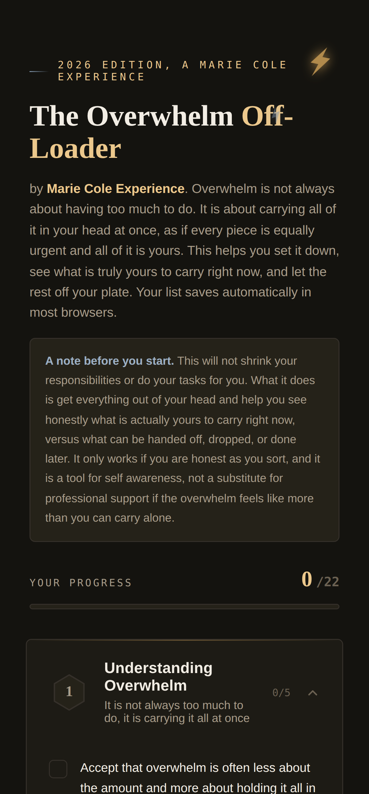 Overwhelm Off Loader screen displaying simple tagging options for mental load sorting.