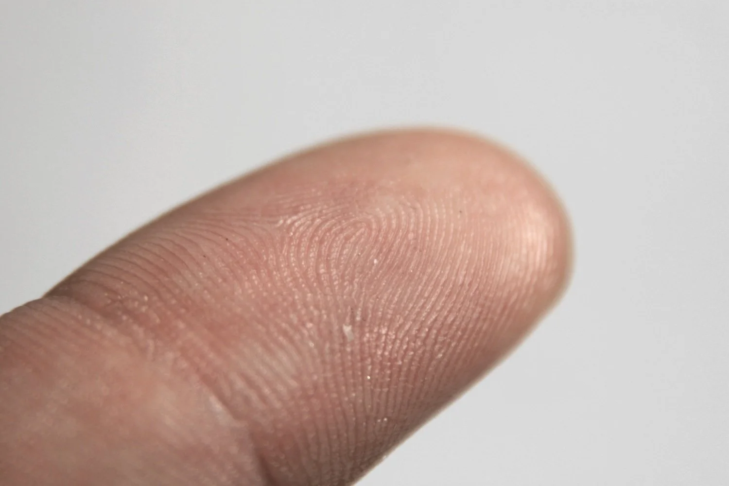 Close view of a fingertip, showing fine parallel ridges bending around the curved pad.