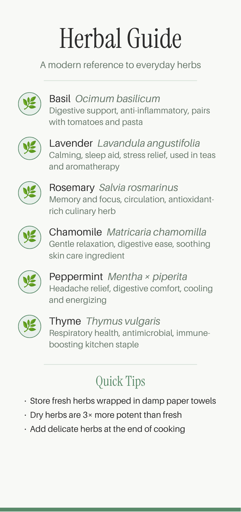Herbal Infographic Traditional Use Guide (2).png