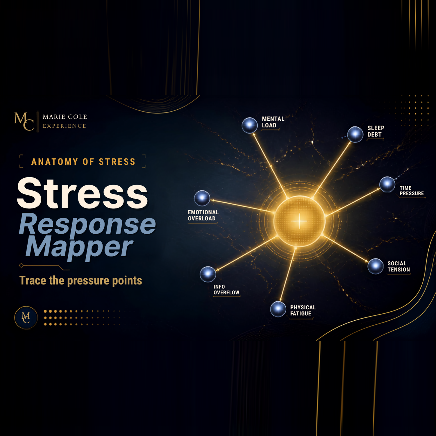 The Stress Response Mapper