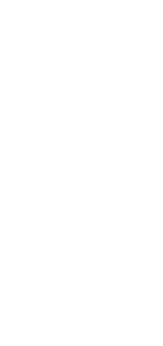 Whale and Dolphin Conservation Logo