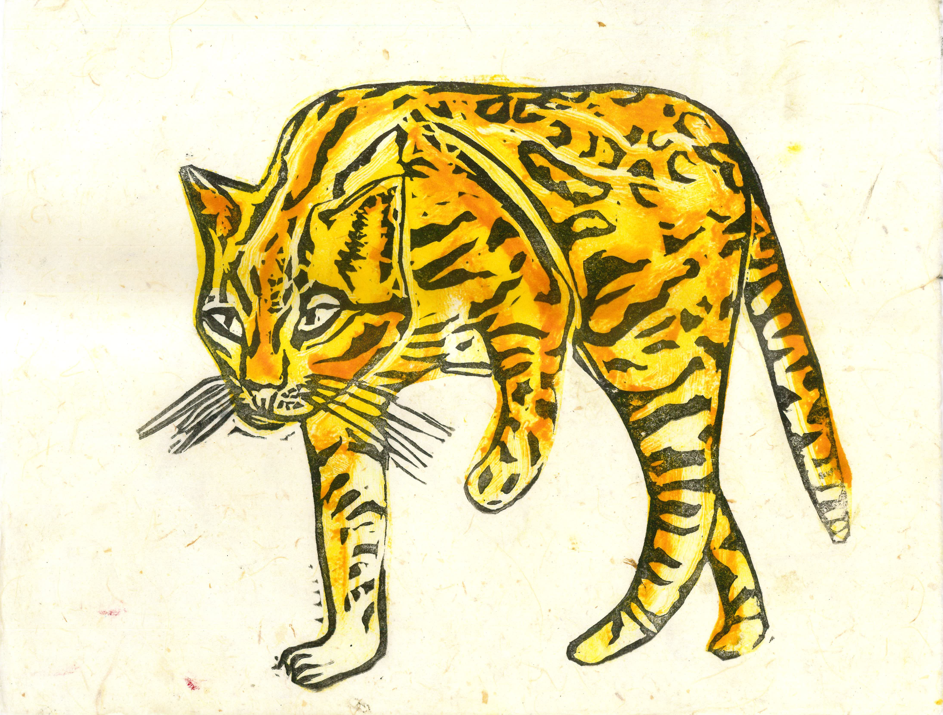 A drawing of an ocelot walking on a plain background.