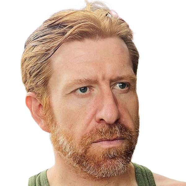 David Lee Stone Author Disney