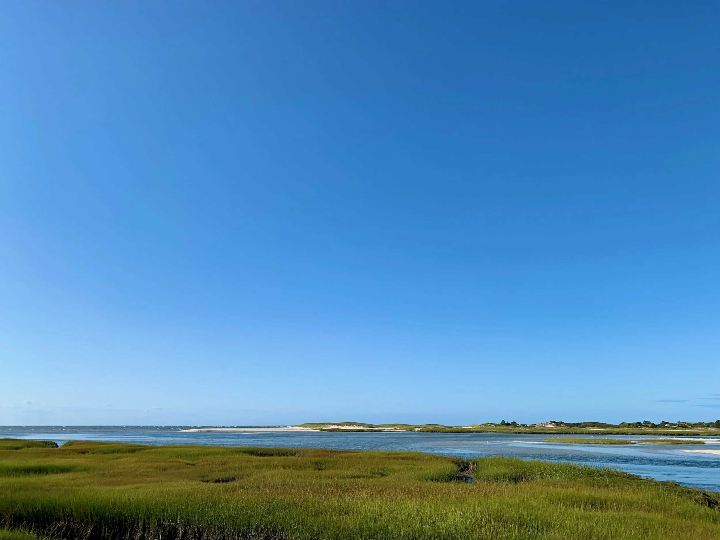 A scenic landscape featuring a grassy foreground, a body of water, and a distant shoreline with sand dunes and hills under a clear blue sky.