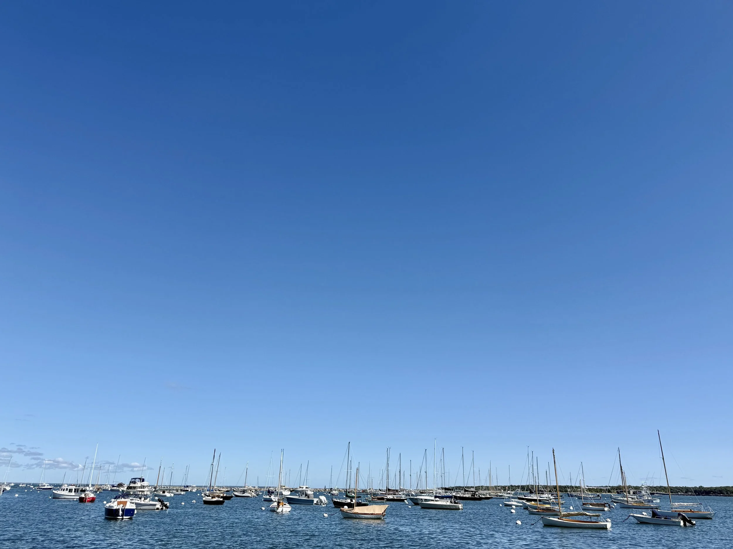 Vineyard Haven, MA