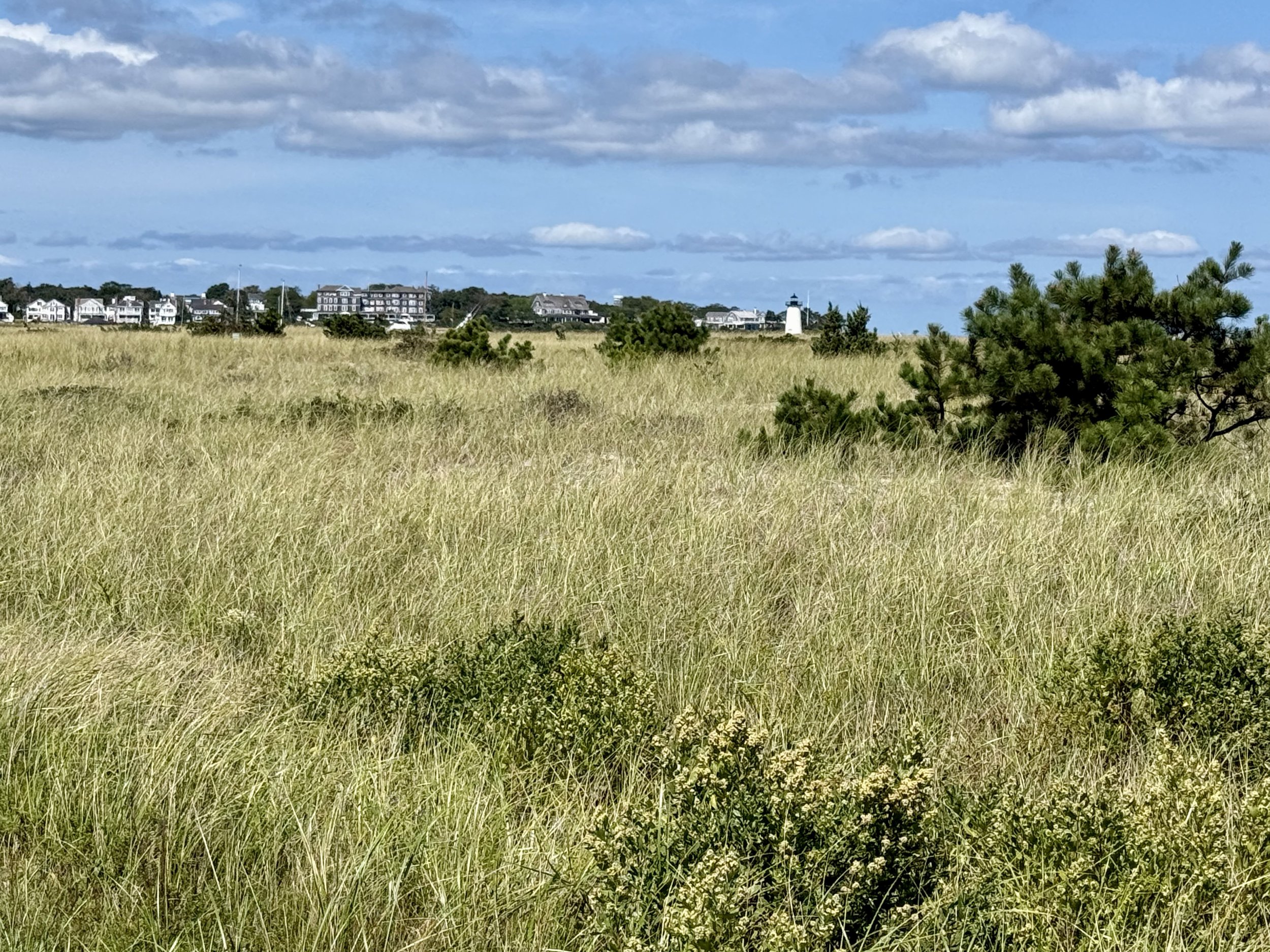 Chappaquiddick Island, MA