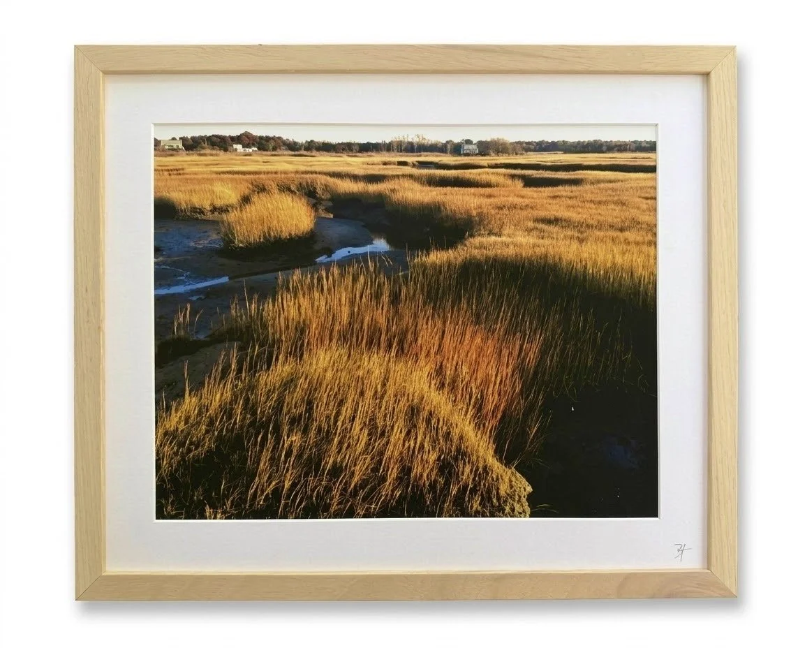 Golden Hour Marsh
11"x14" glicee print with archival mat in wooden frame: $450