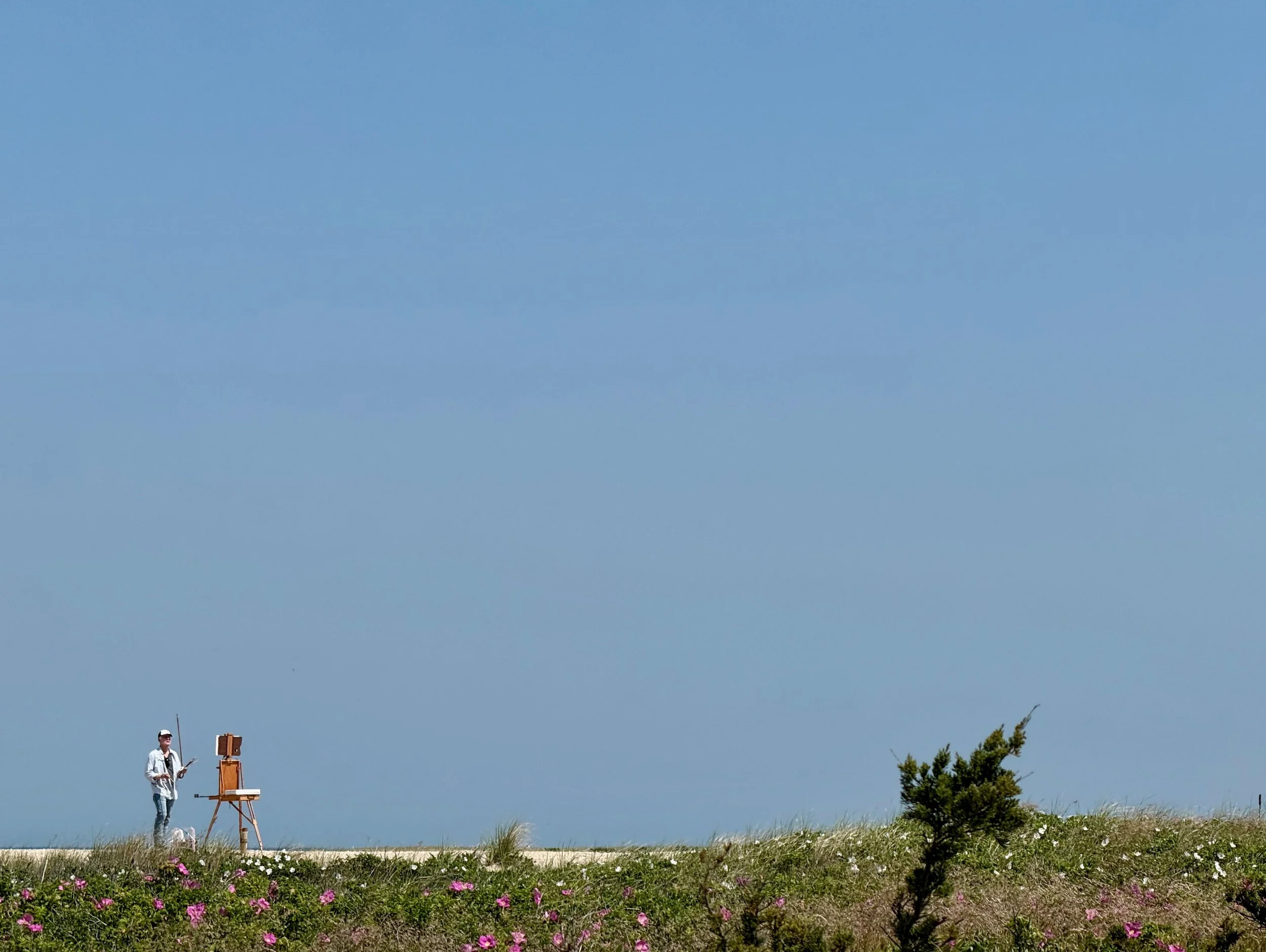 A person standing outdoors on grass, operating a theodolite or surveying instrument, with a blue sky in the background and some trees and flowers in the foreground.