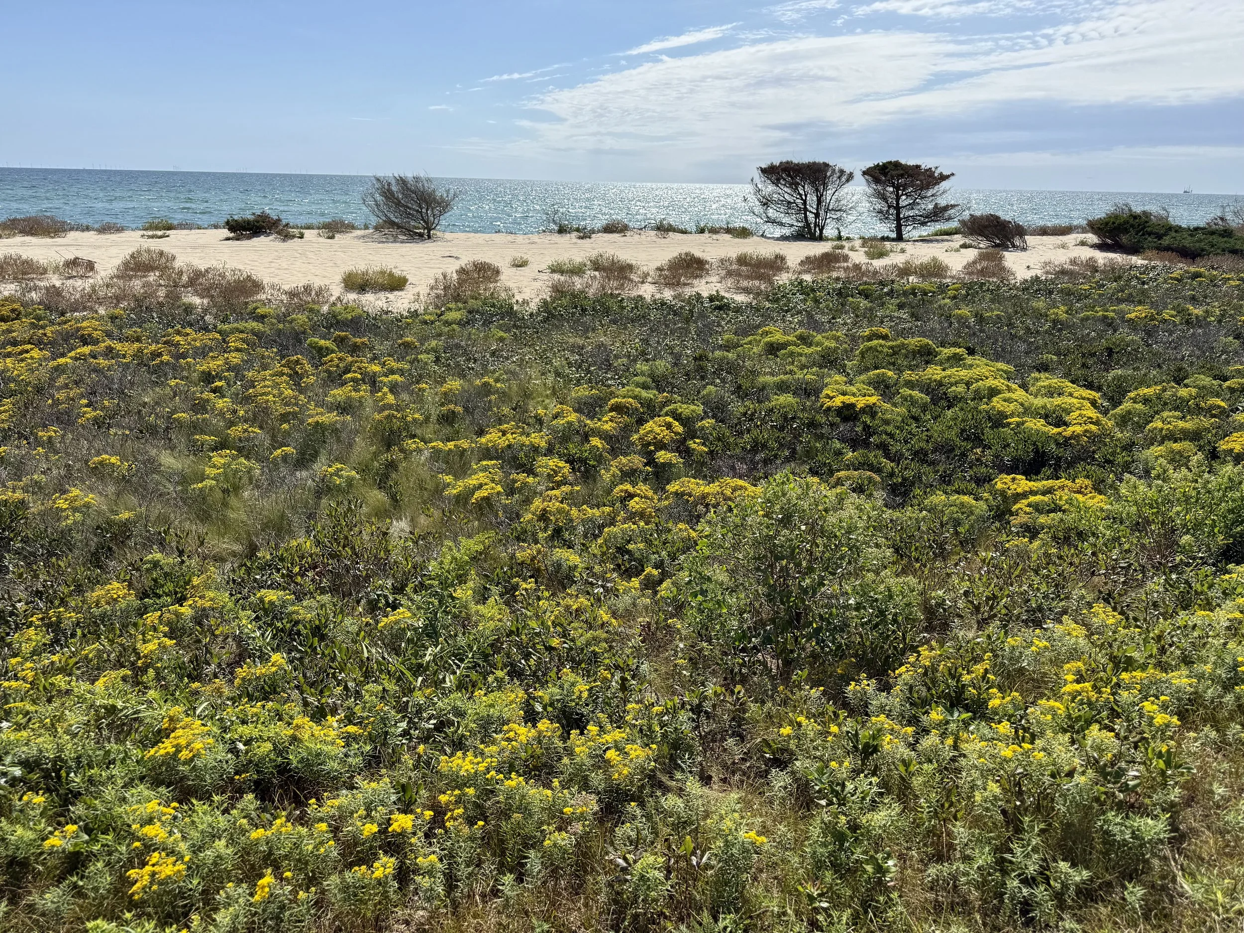 Chappaquiddick Island, MA