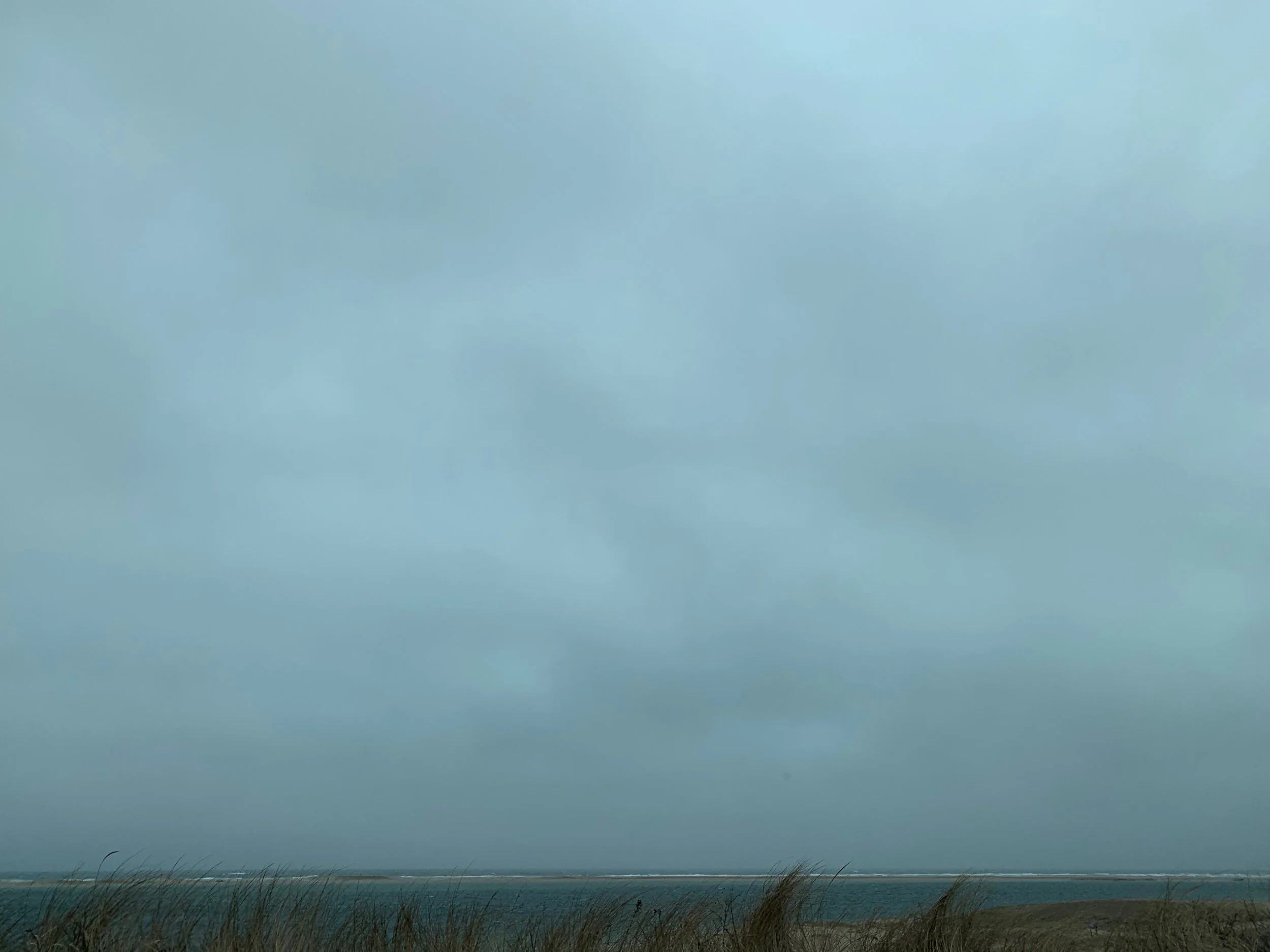 Coastal scene with dark grass in foreground, distant ocean, overcast sky.