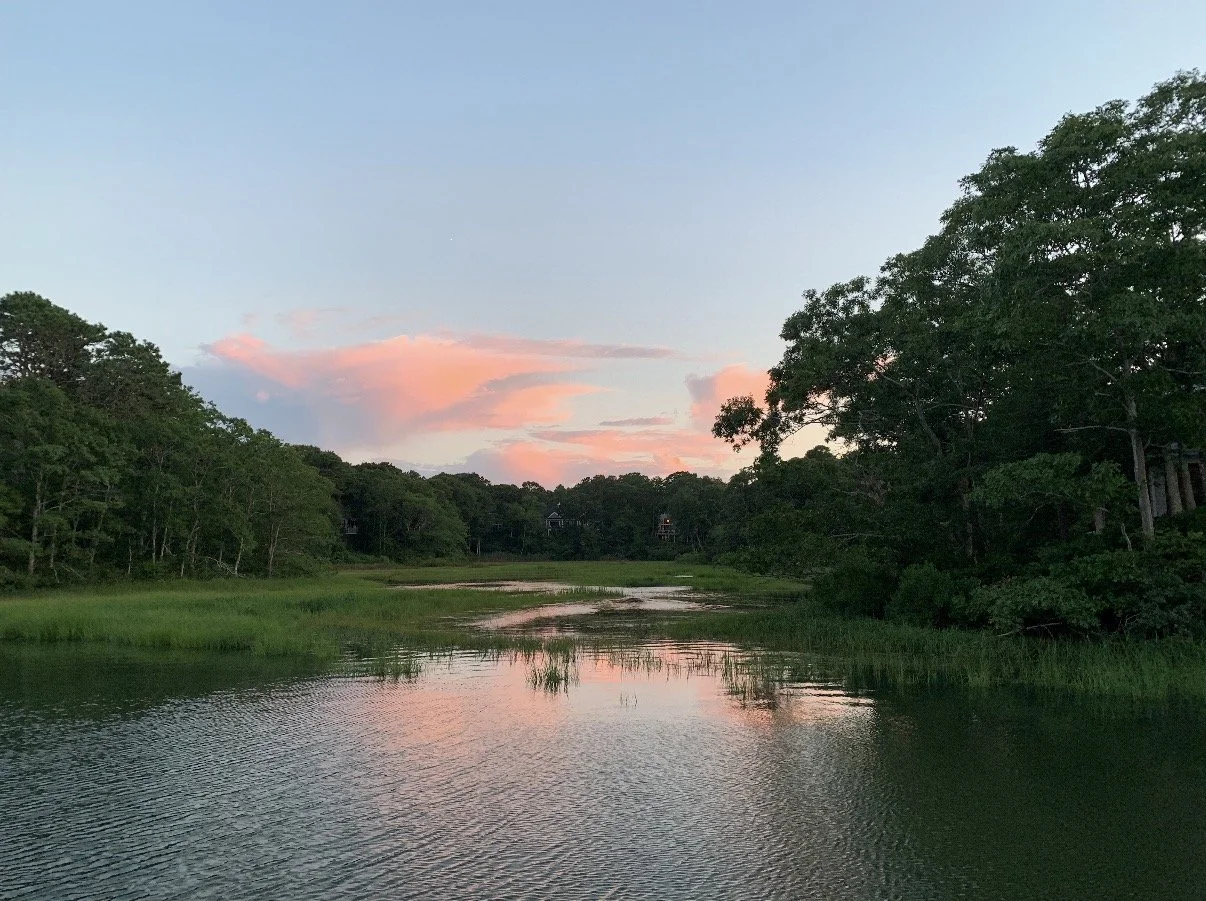 A serene river scene at sunset, surrounded by lush green trees, with pink-tinged clouds in the sky and reflections on the water.