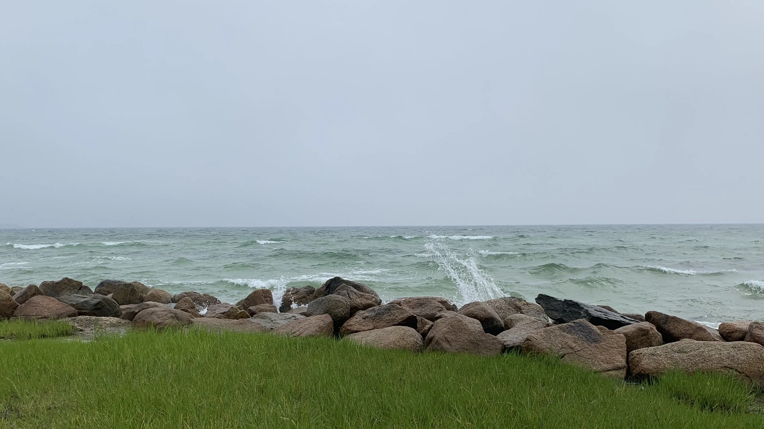 A rocky shoreline with green grass in the foreground, a body of water with small waves in the middle, and an overcast sky in the background.