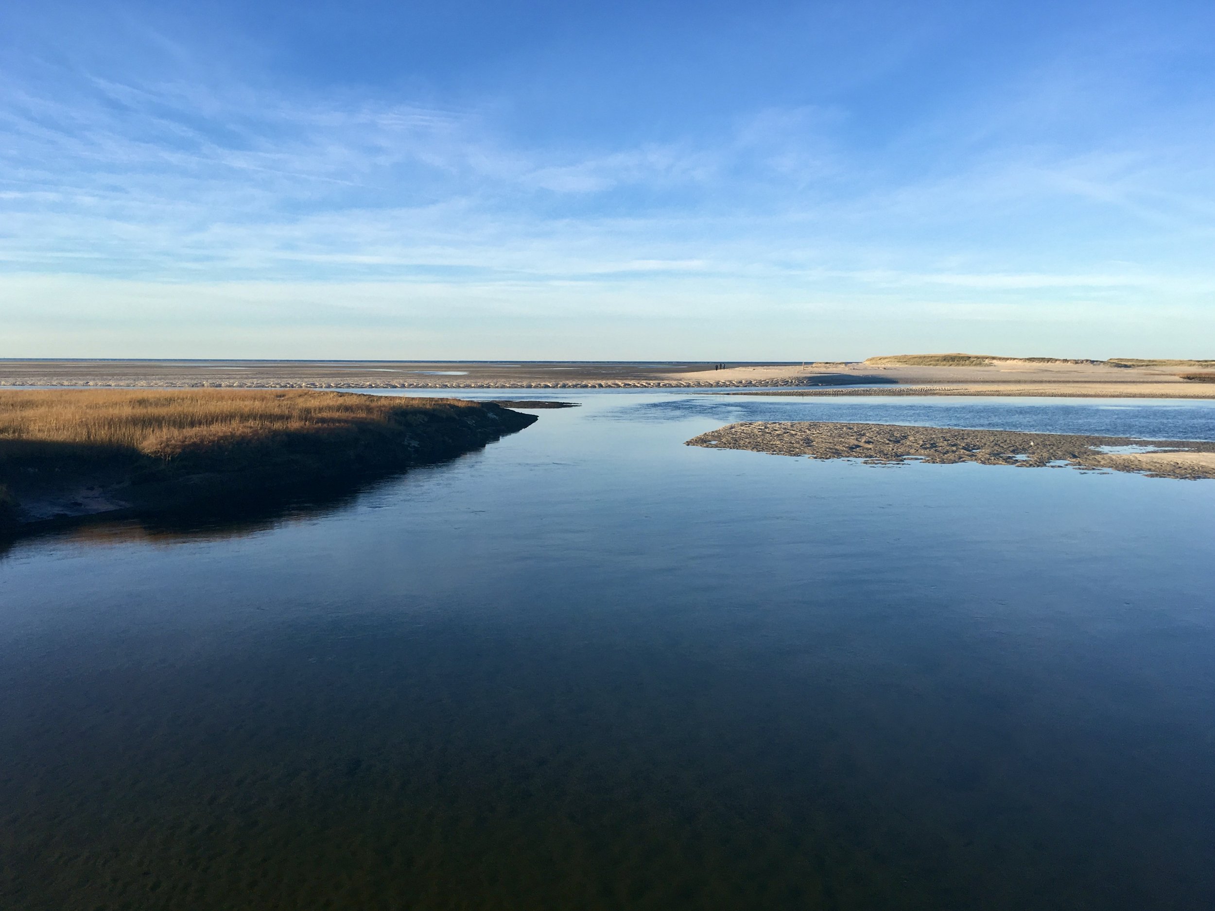 A coastal landscape with shallow water, sandy shores, a strip of grass, and a clear blue sky with light clouds.