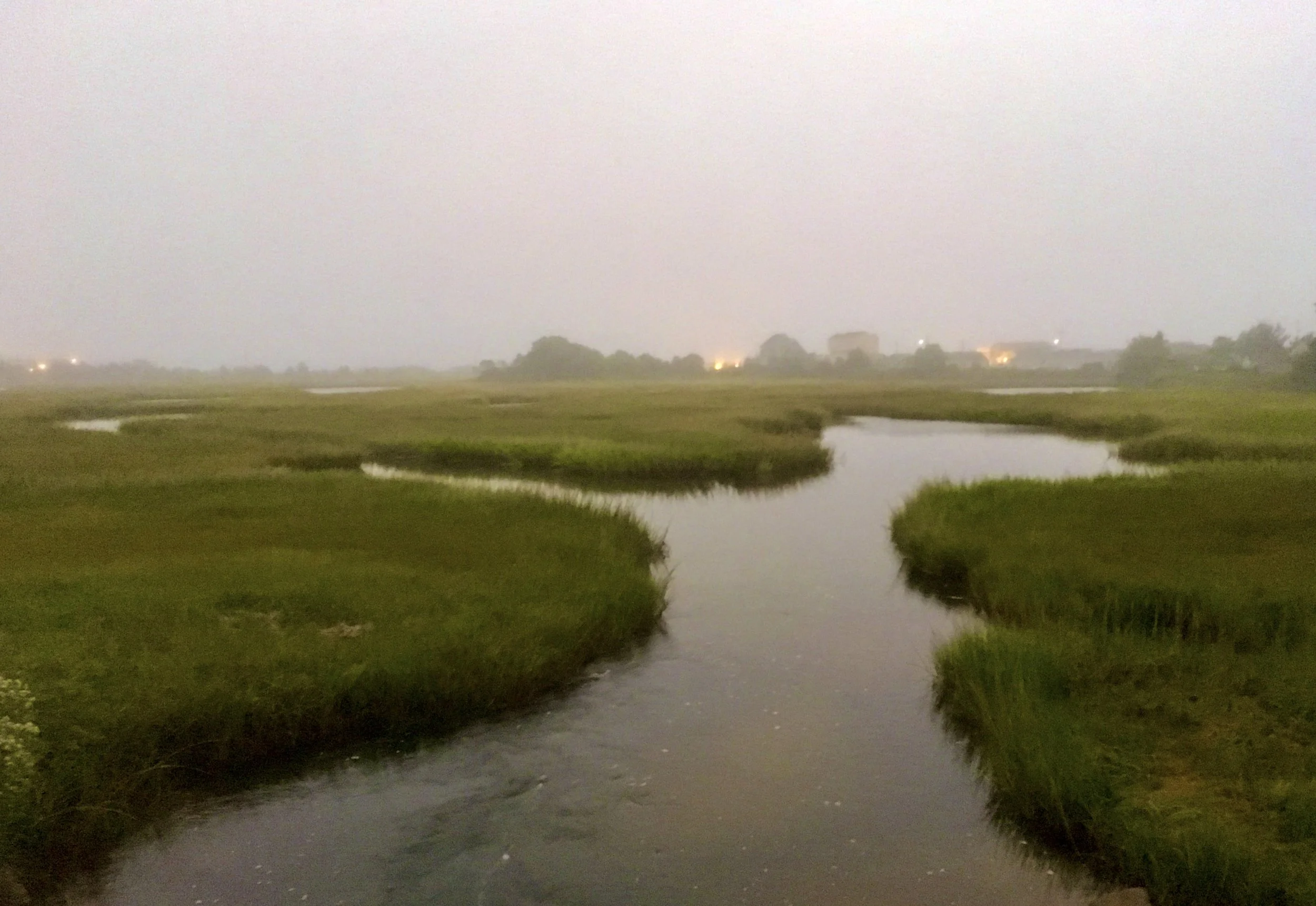 A flooded field with patches of water and grass, under a foggy sky with distant houses.