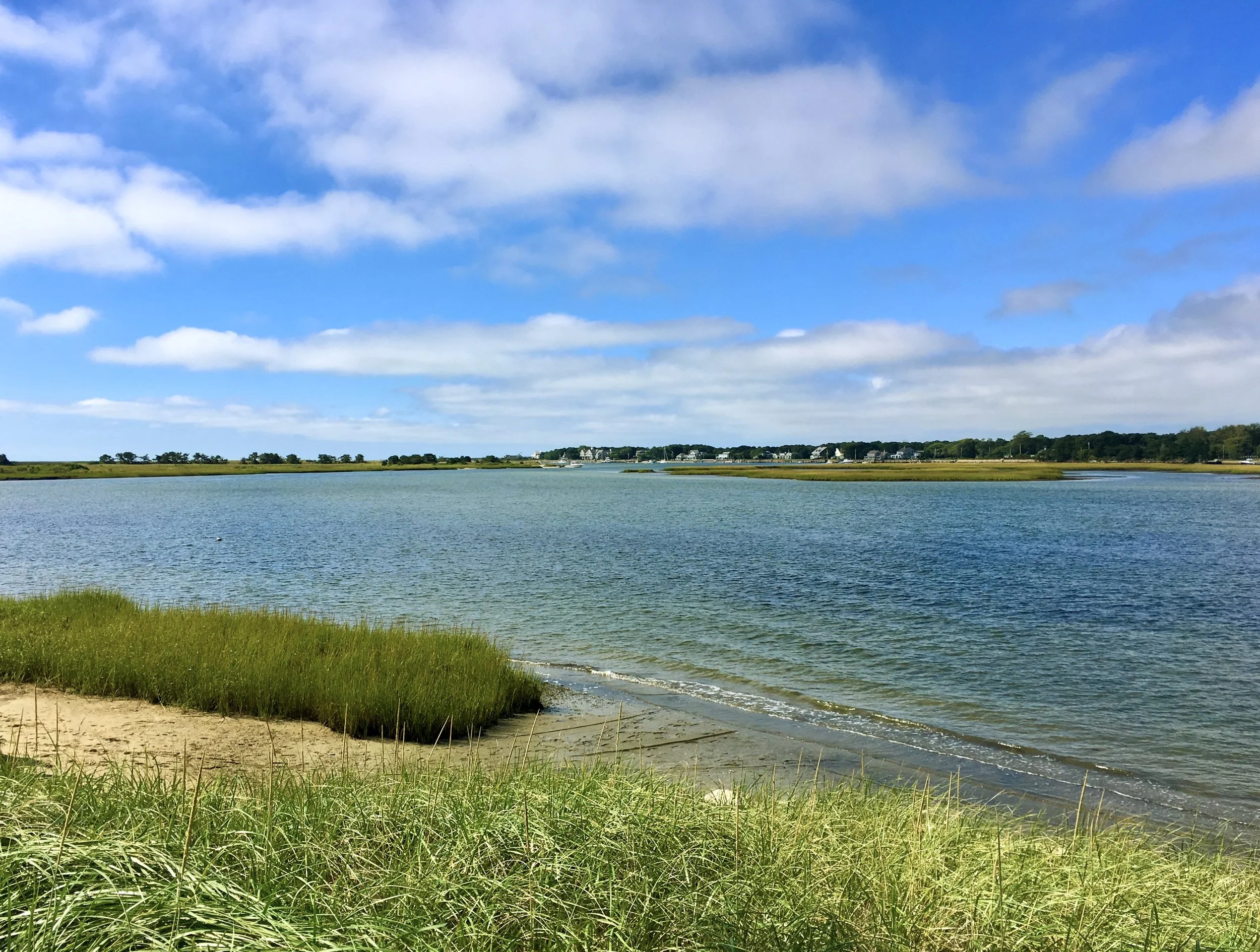 Scenic view of a body of water with green grass in the foreground, a shoreline, trees, and houses in the distance under a partly cloudy sky.
