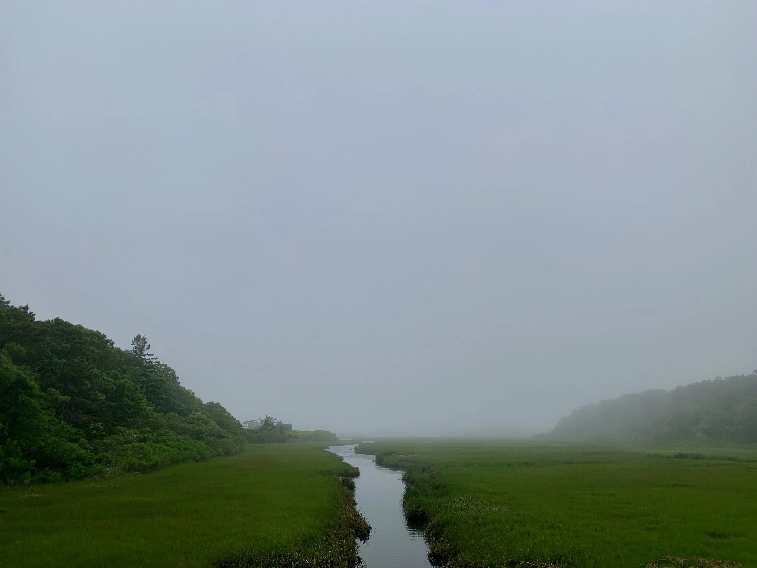 A foggy landscape featuring a narrow river or stream winding through lush green grass and dense trees on either side, with misty hills in the background.