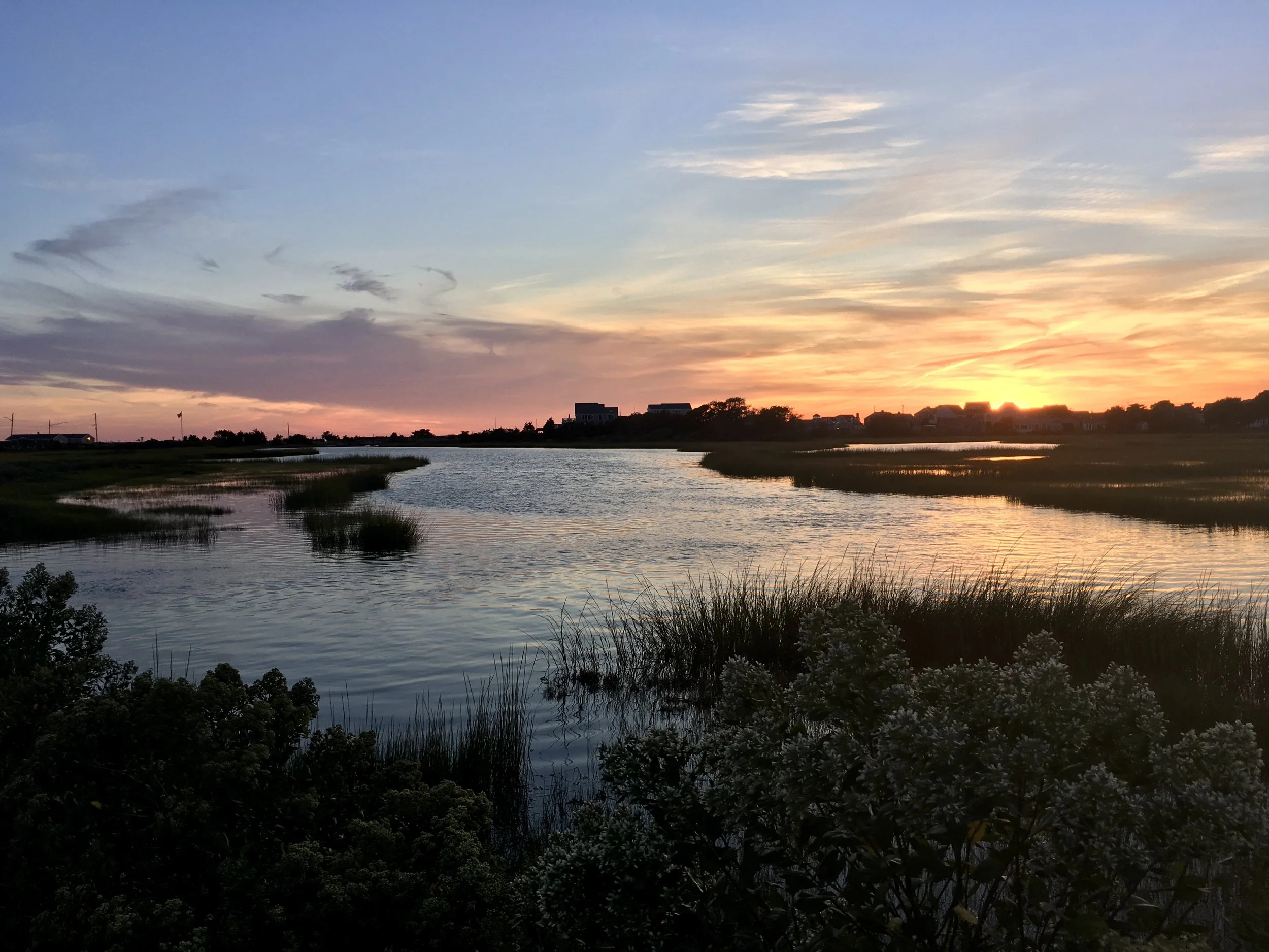 Sunset over a river with houses in the distance and bushes in the foreground.
