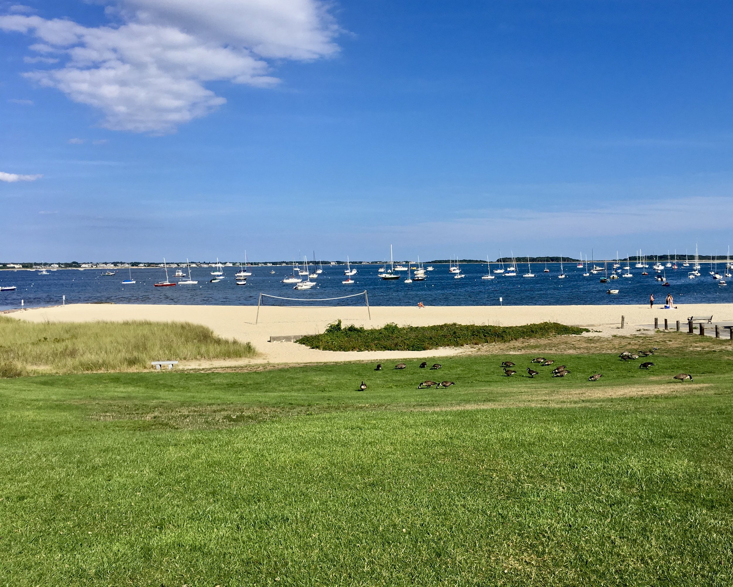 A grassy park with a sandy beach and a body of water, with numerous boats anchored on the water and a few people walking on the beach, under a partly cloudy blue sky.